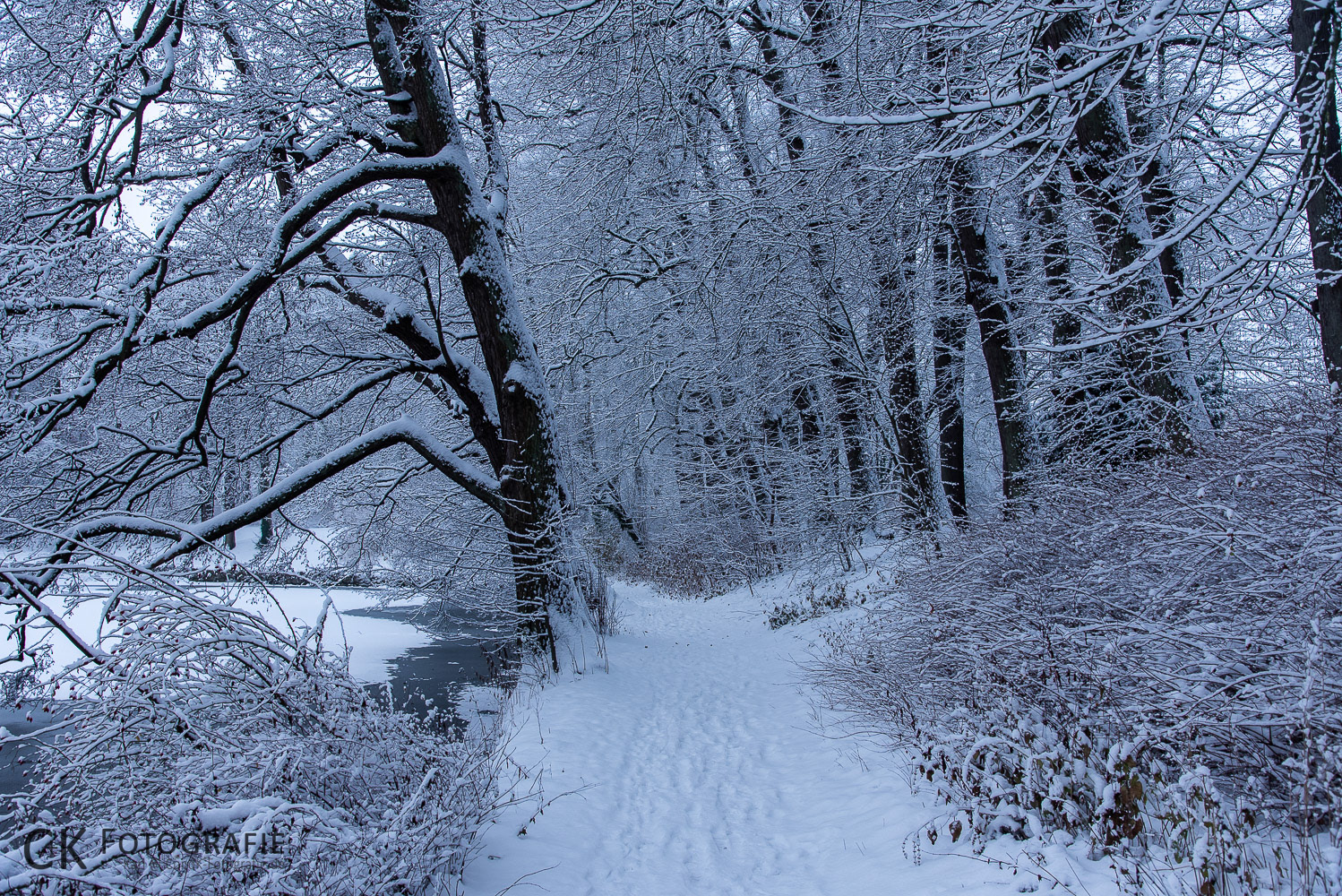 Schlosspark Eutin im Winter
