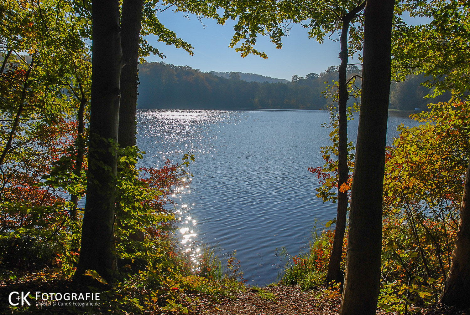 Bäume und See im Herbst am Uklei See