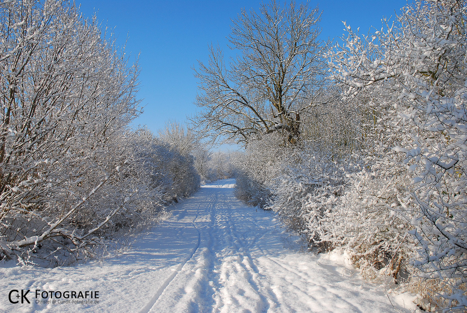 Feldweg im Winter
