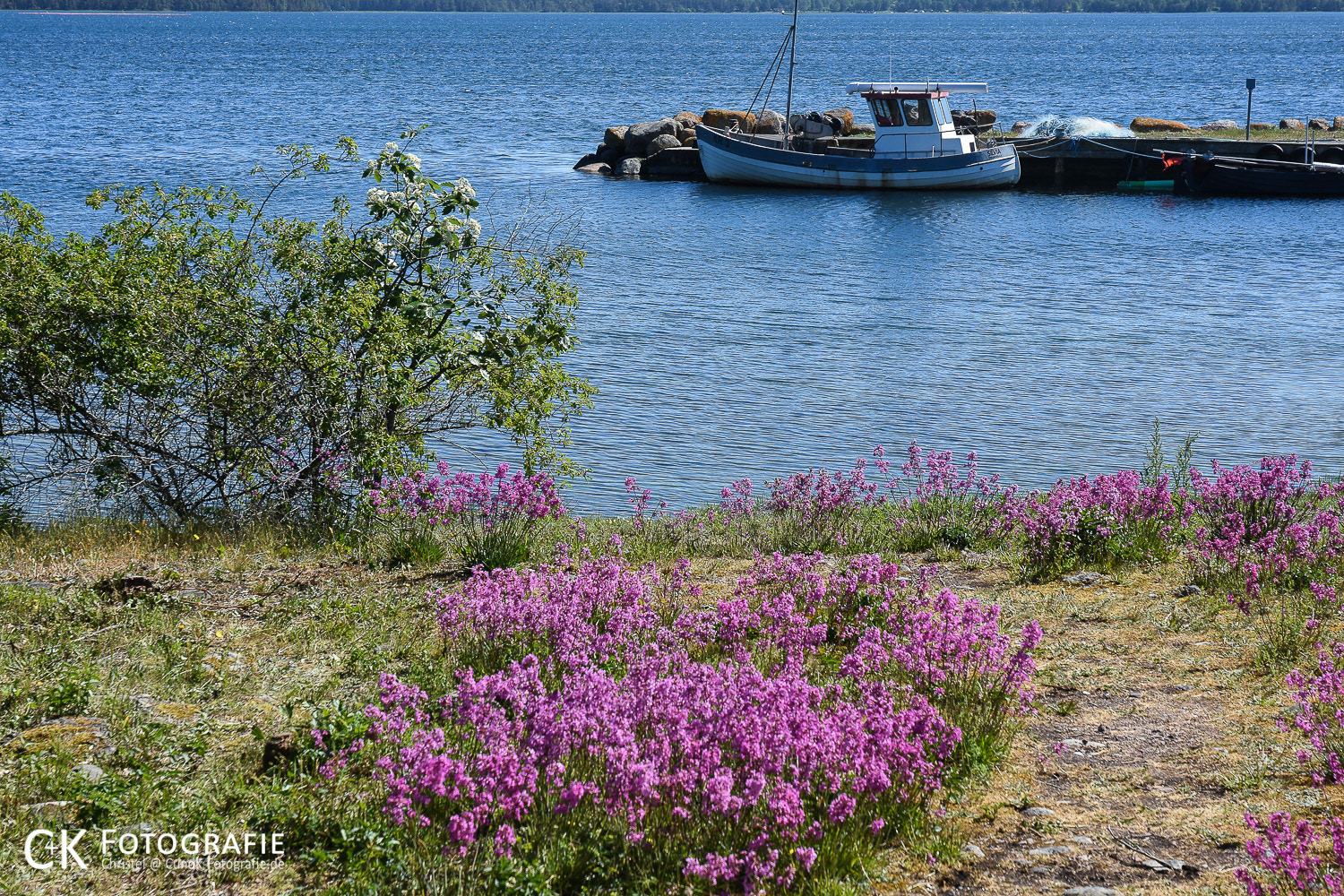 Bucht mit blühenden Blumen und Fischerboot