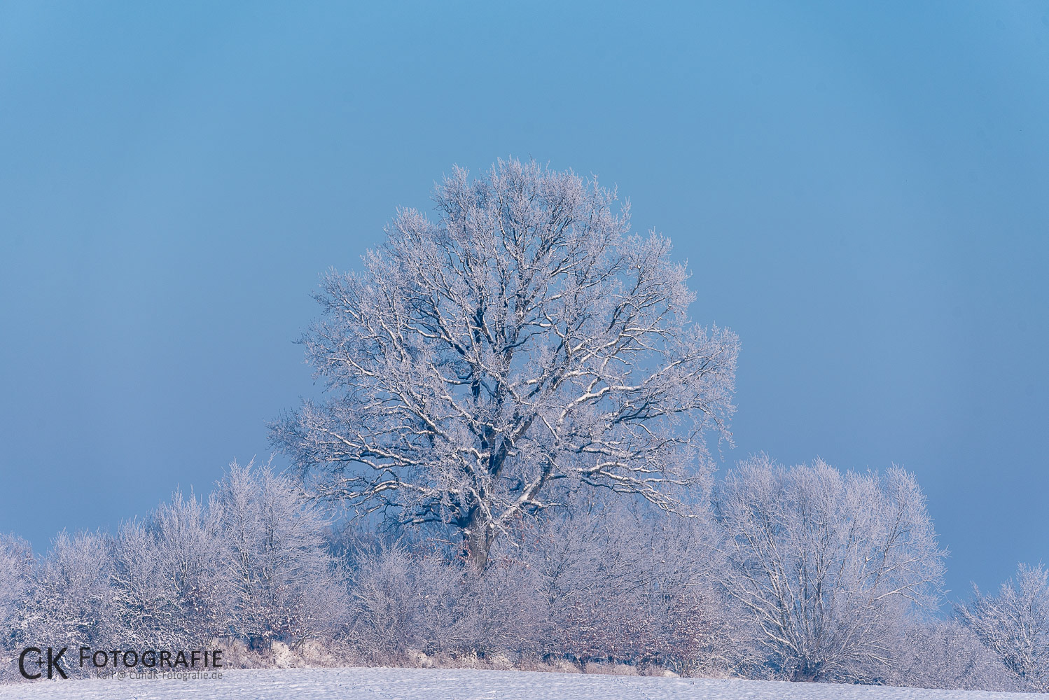 Winterlandschaft bei Eutin