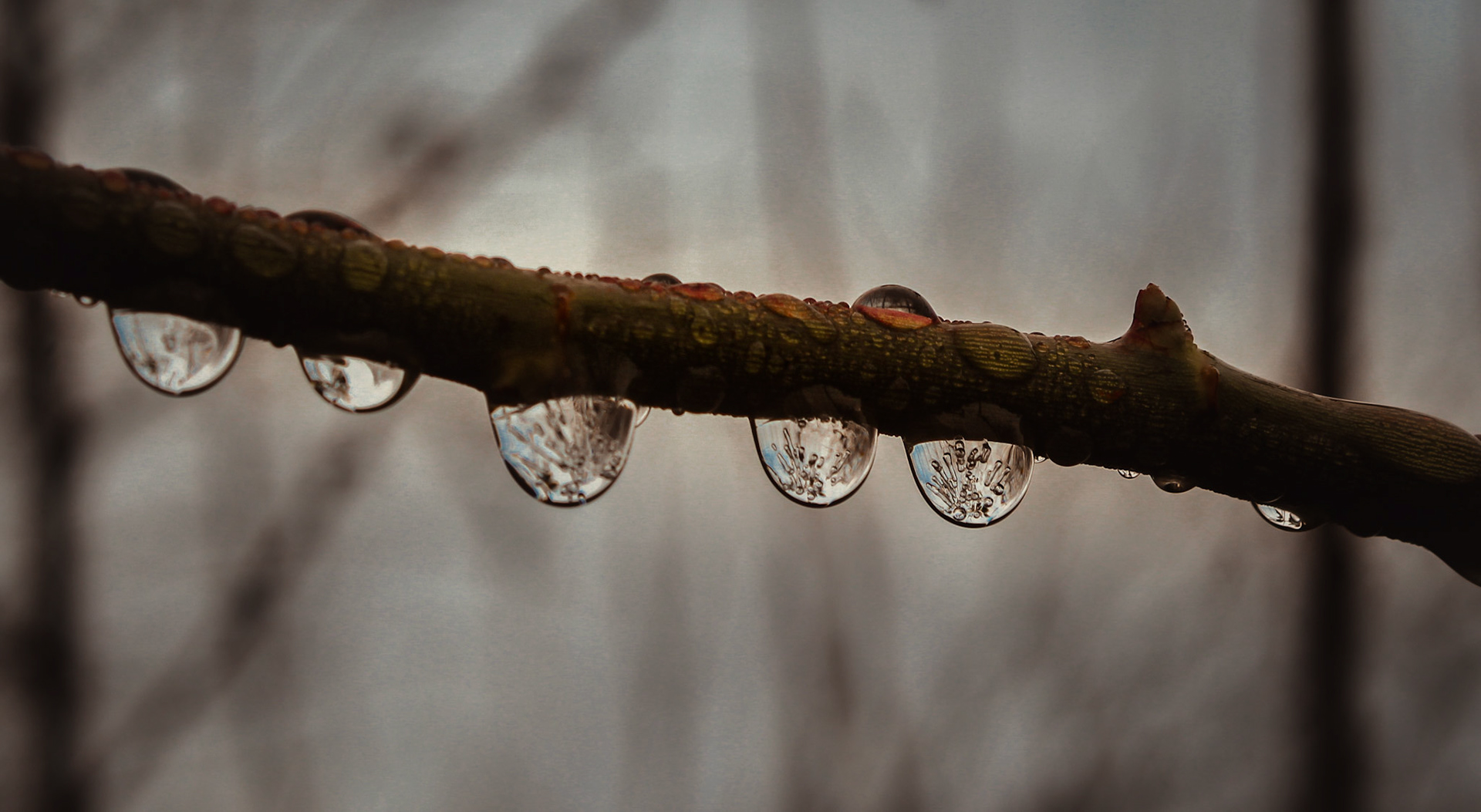 Wassertropfen