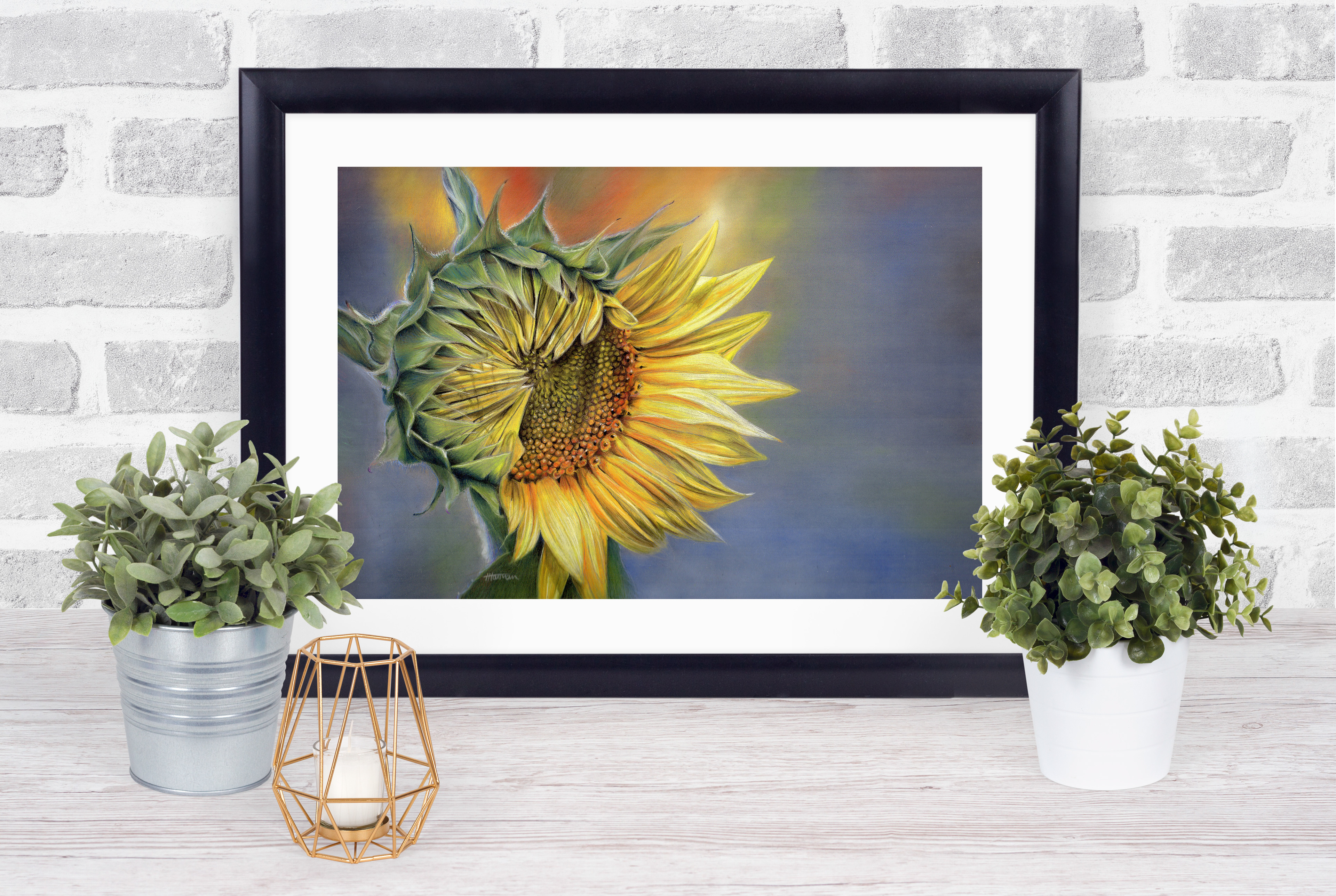 A3 £50 framed, £35 unframed