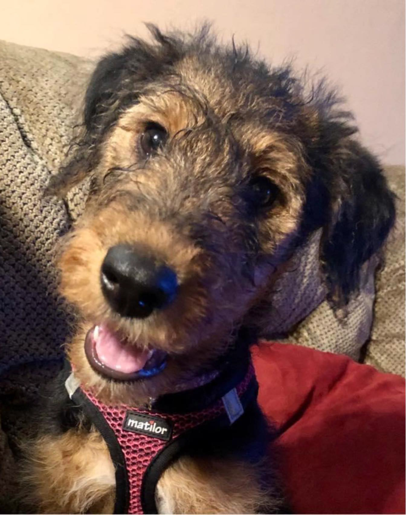 Julia Sugarbarker, the bestest girl