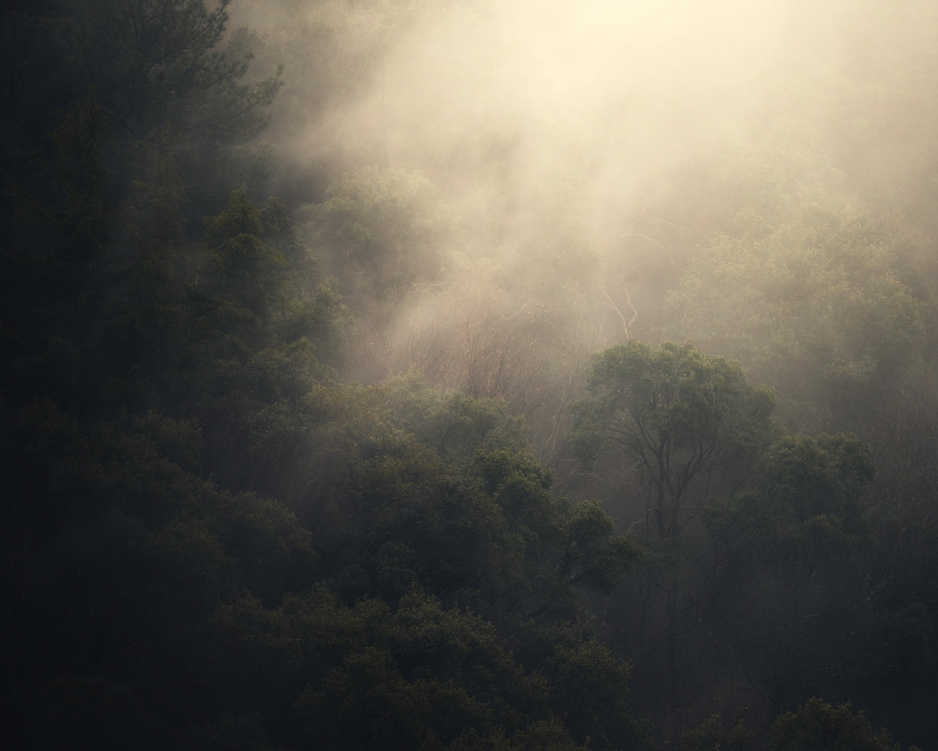 Purgatory