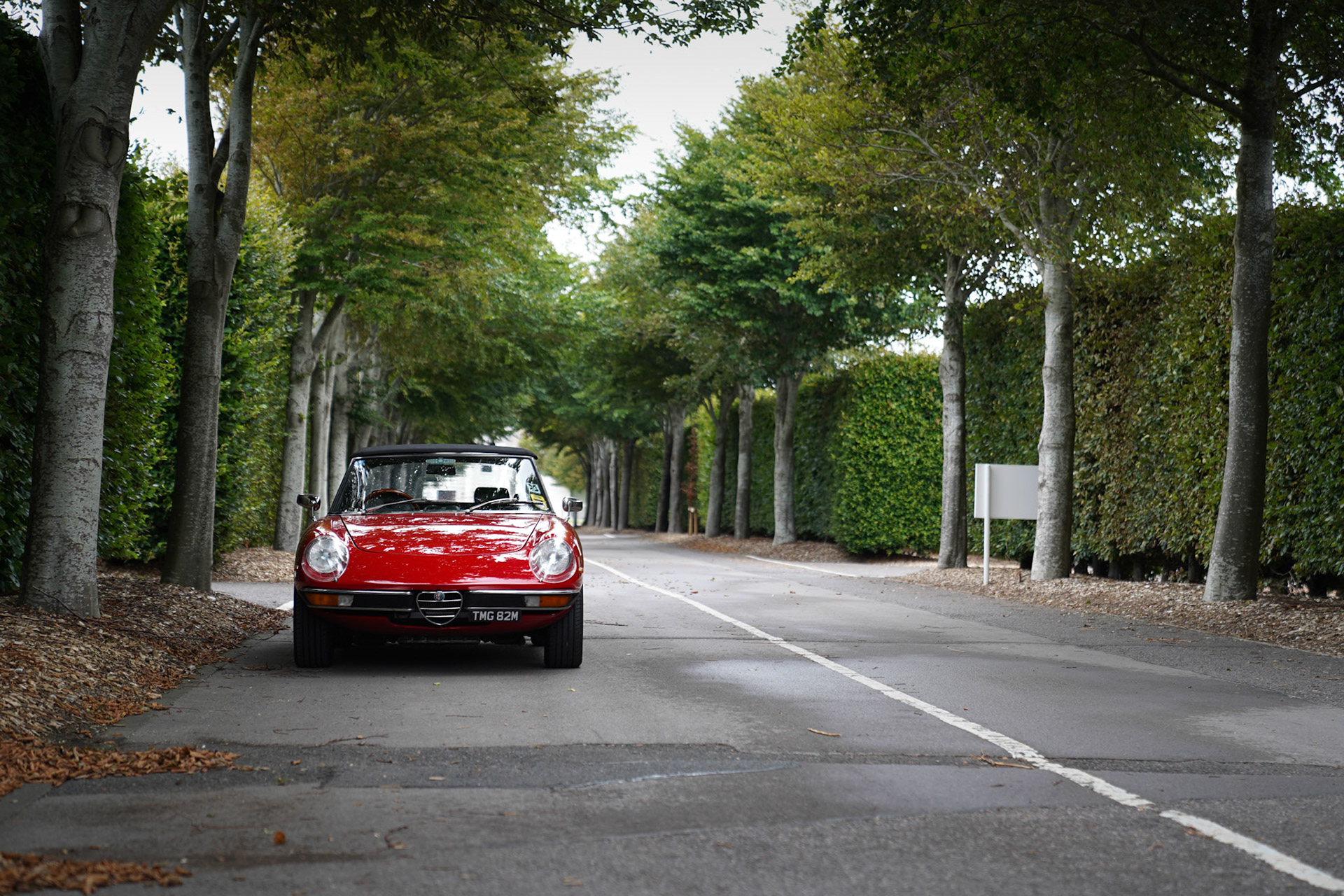 Alfa at Goodwood