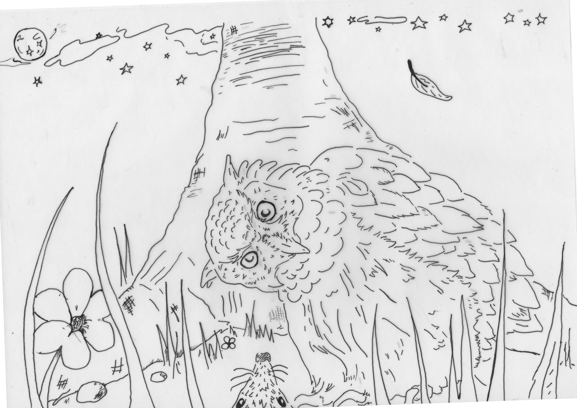 Book Illustration 2