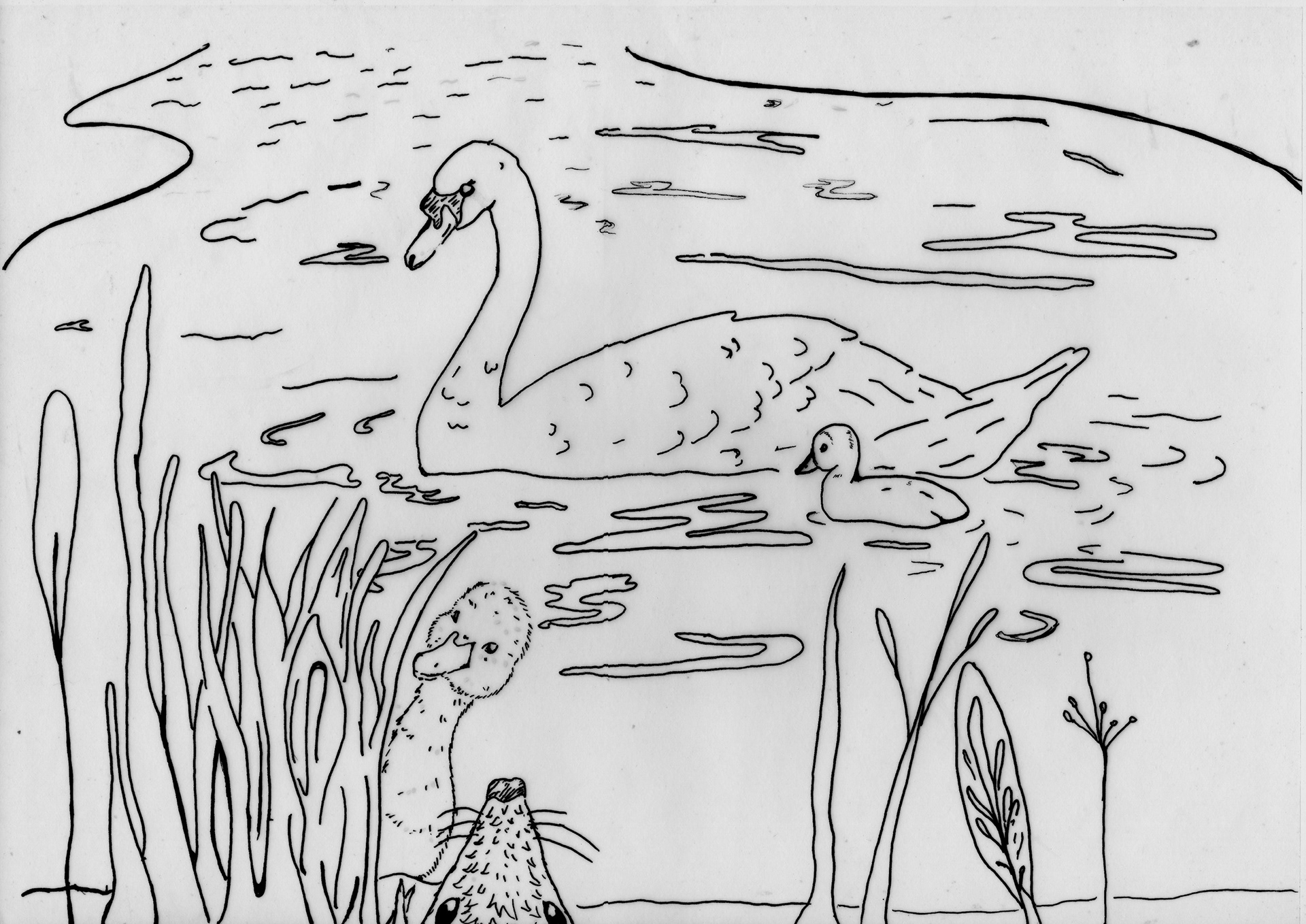 Book Illustration 1