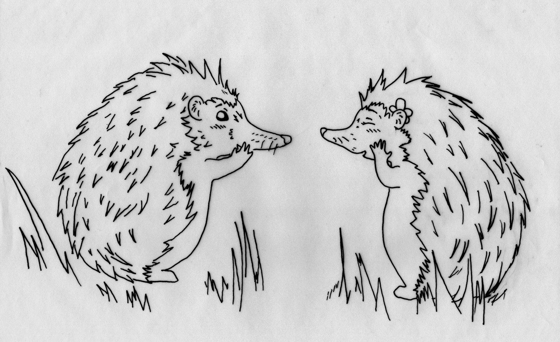 Book Illustration 3