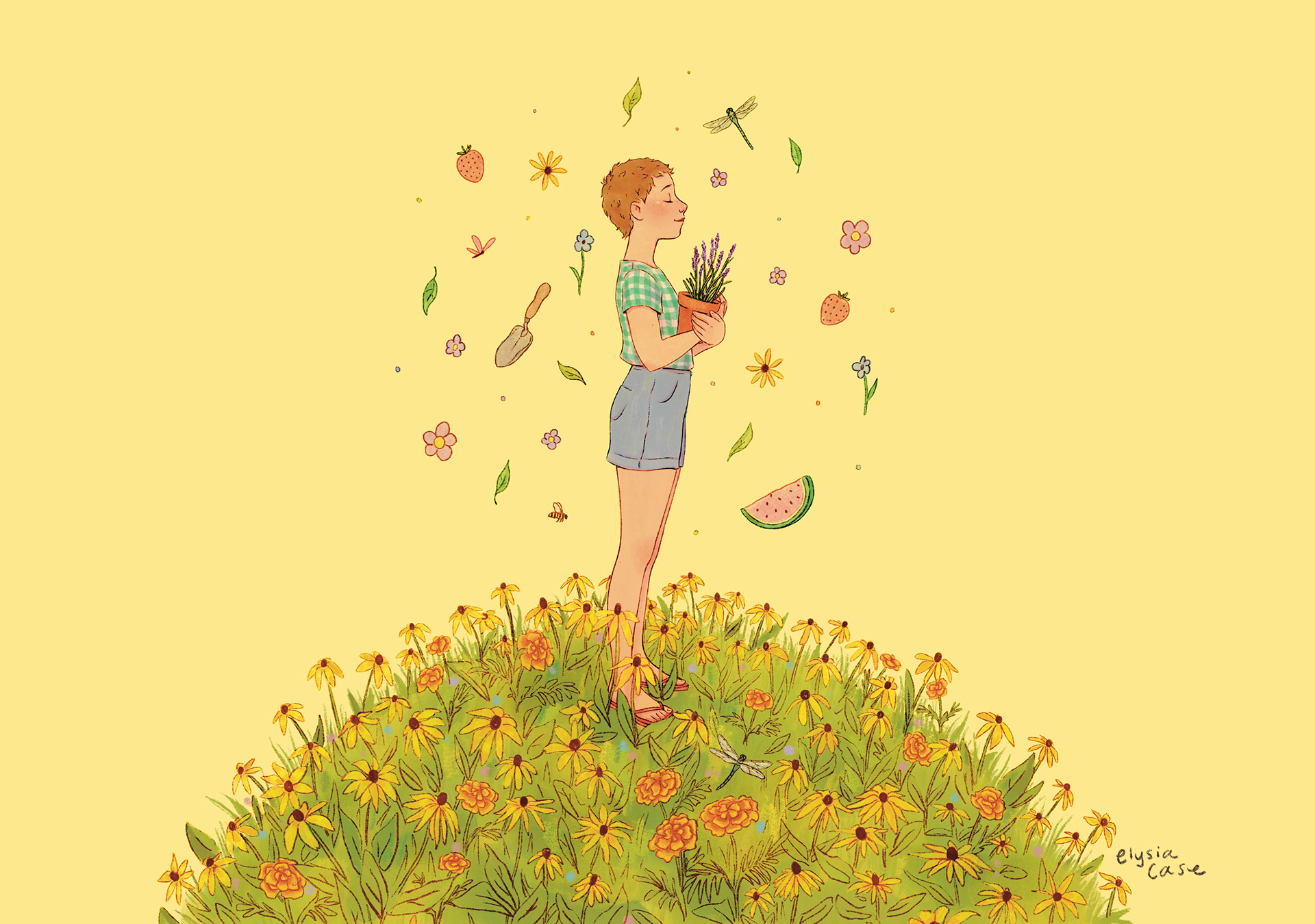 THE SUMMER OF JUNE  by  Jamie Sumner 