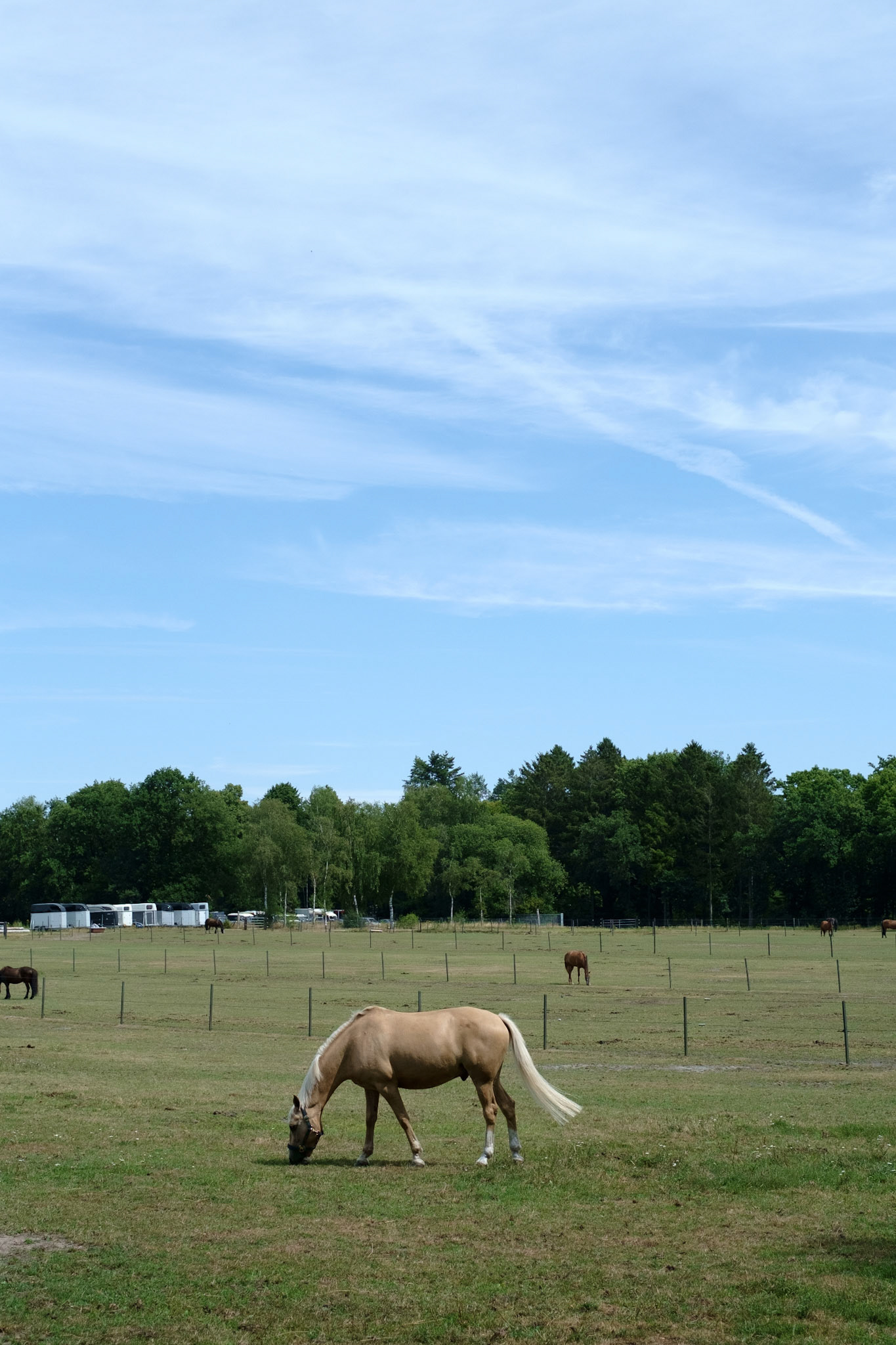 Ugchelen, Netherlands