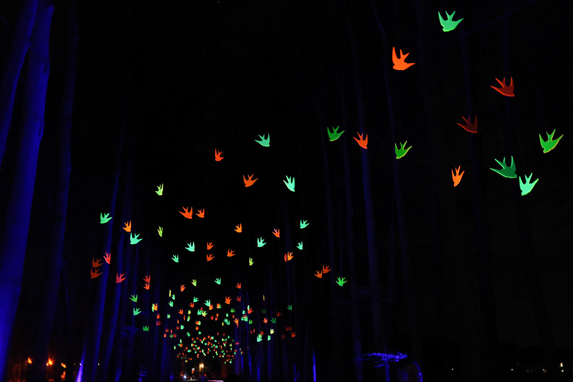 Royal Light Festival