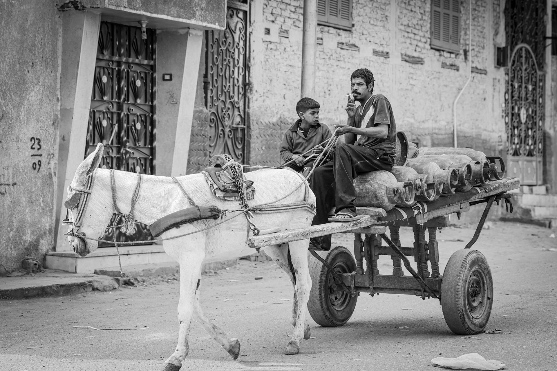 EGYPT - 2022