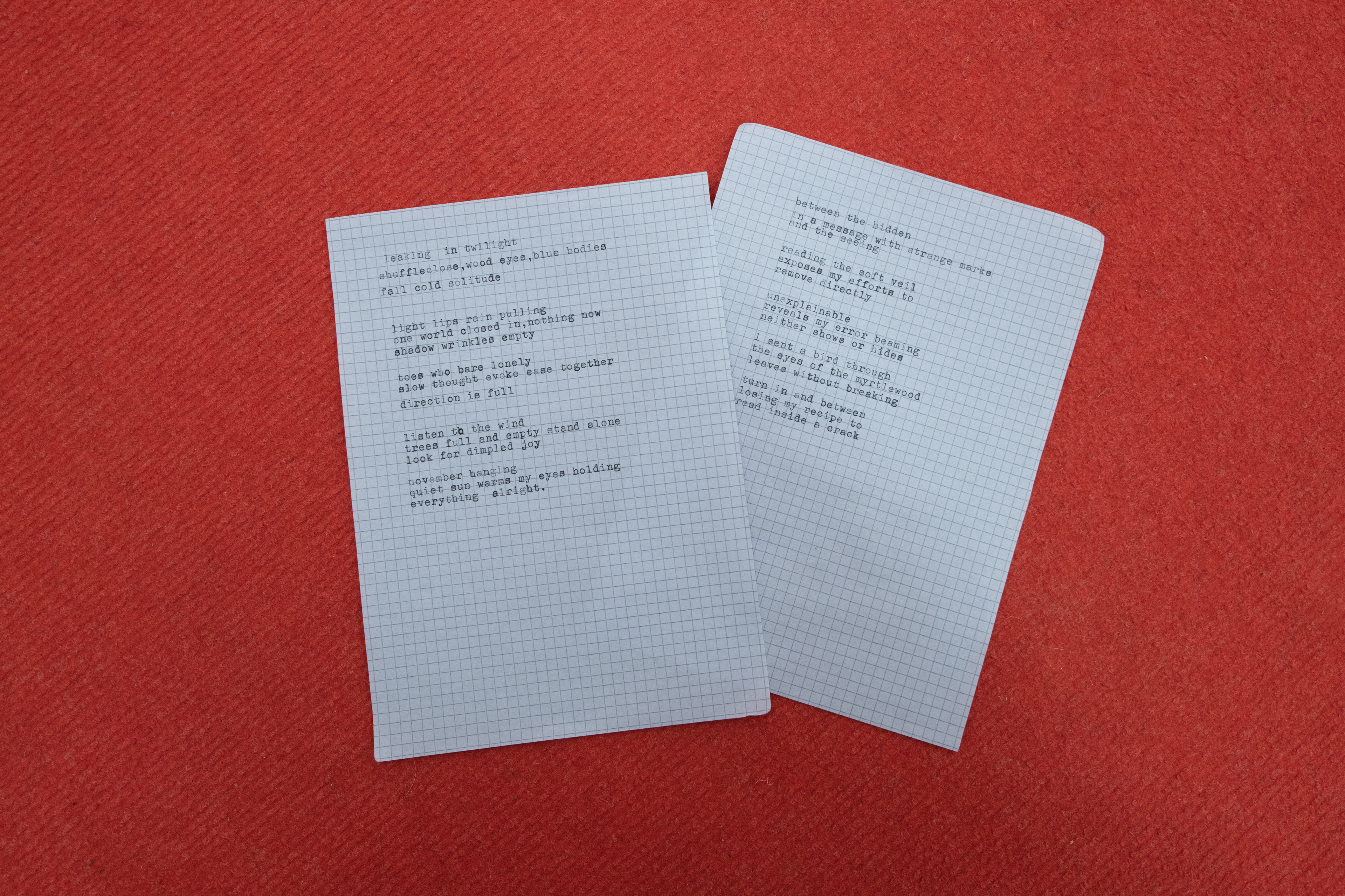 exhibition text ; 14.8 x 21 cm (x2)