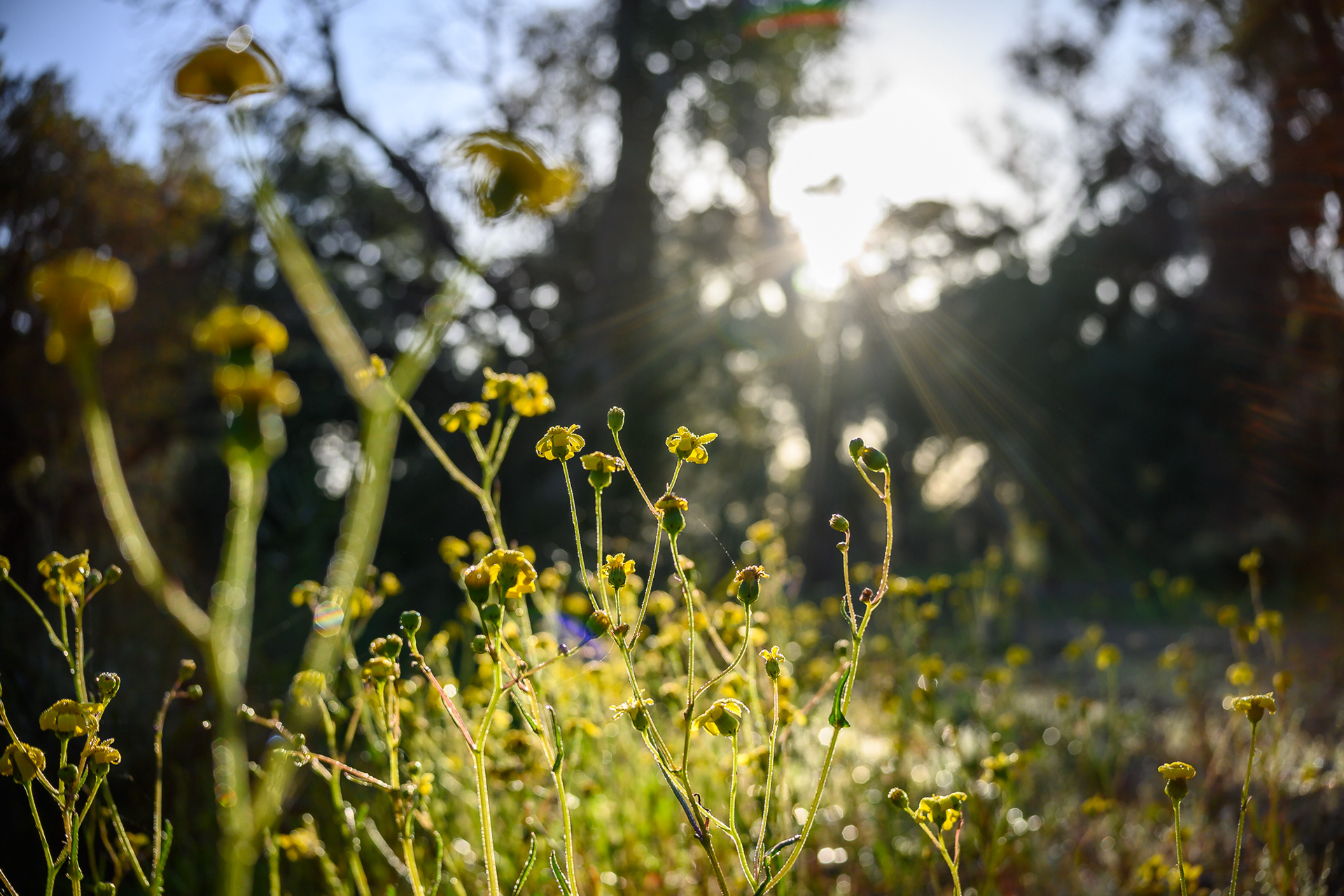 Nikon Z30, TT 27 - 1/640, f/2.8