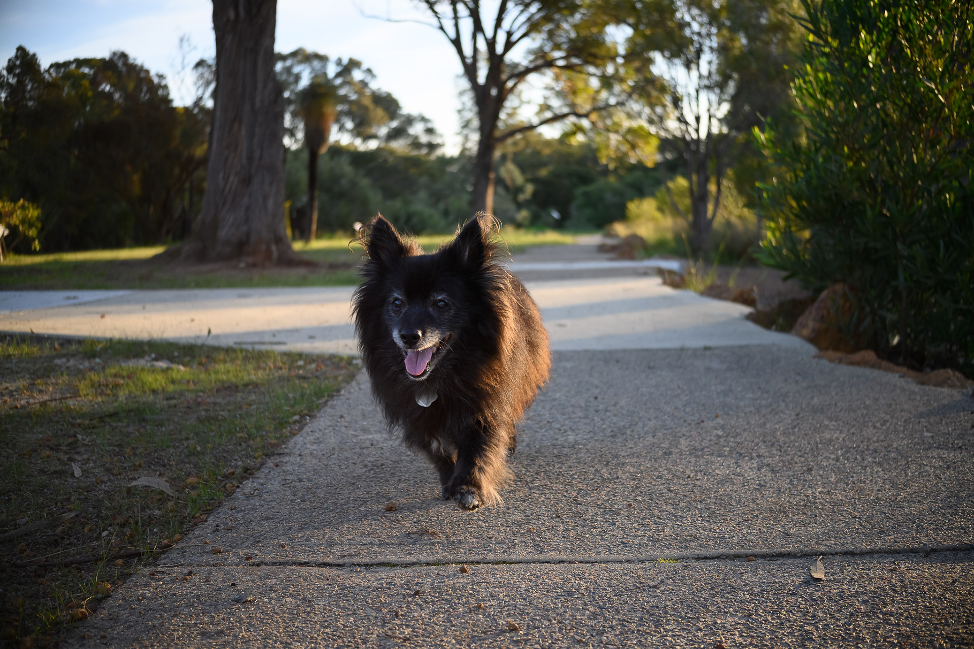 Nikon Z30, TT 27 - 1/1000, f/2.8