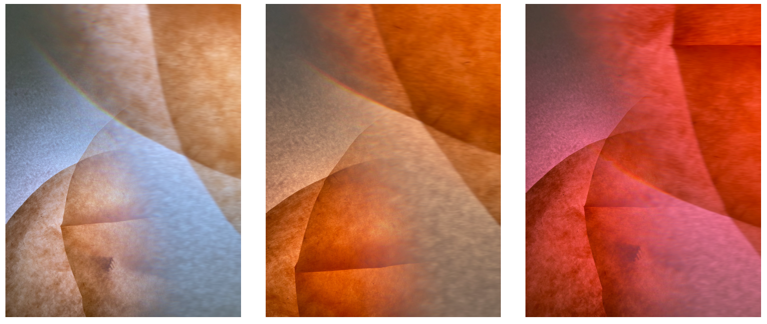 Damp coffee filters on top of posterboard, lit from behind, reminded me of cells