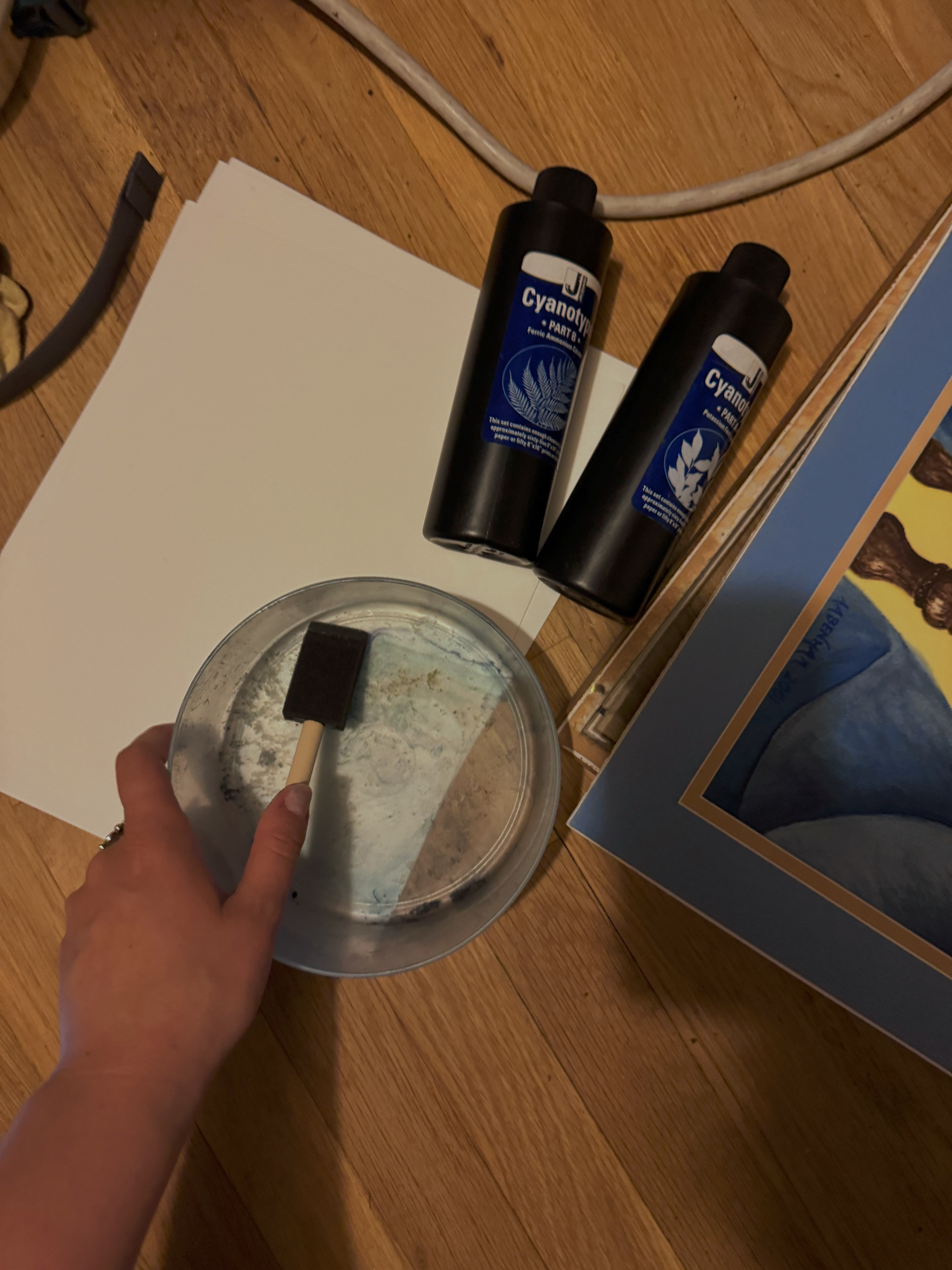 Cyanotype Process (in closet!)