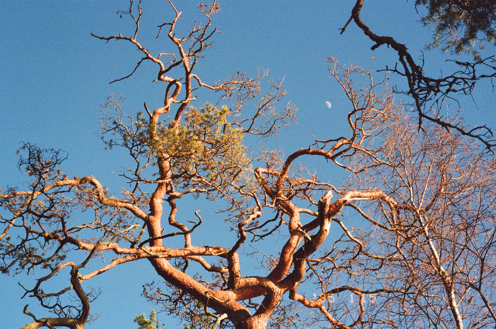 Stockholm, Sweden | KODAK ULTRAMAX