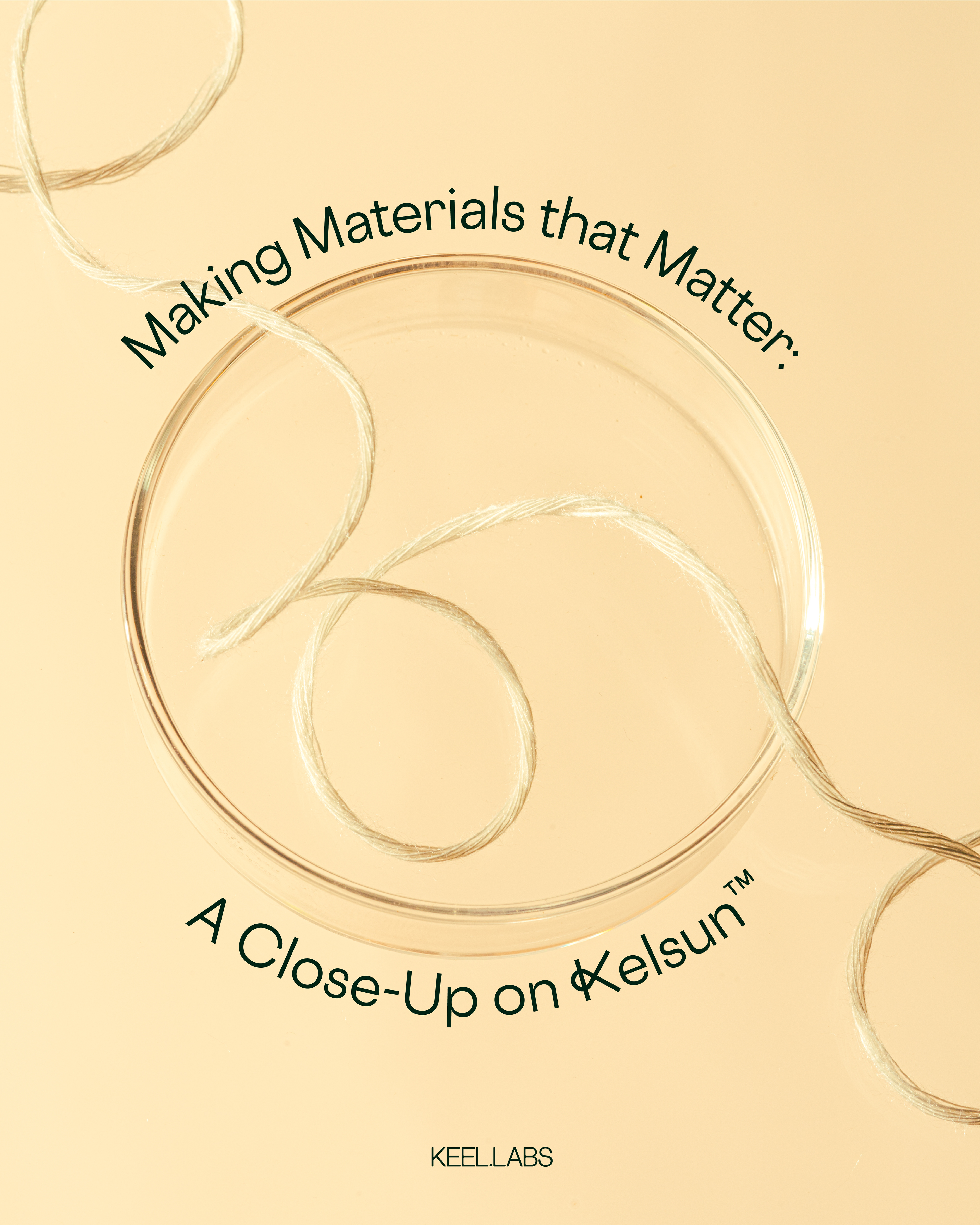 Close-Up on Kelsun®