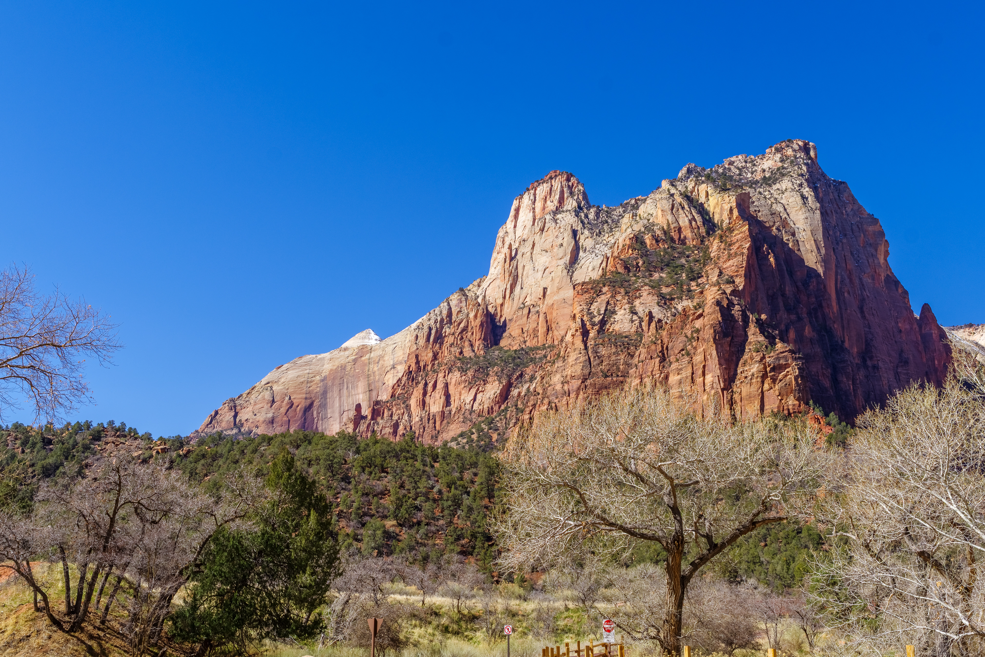 Zion National Park