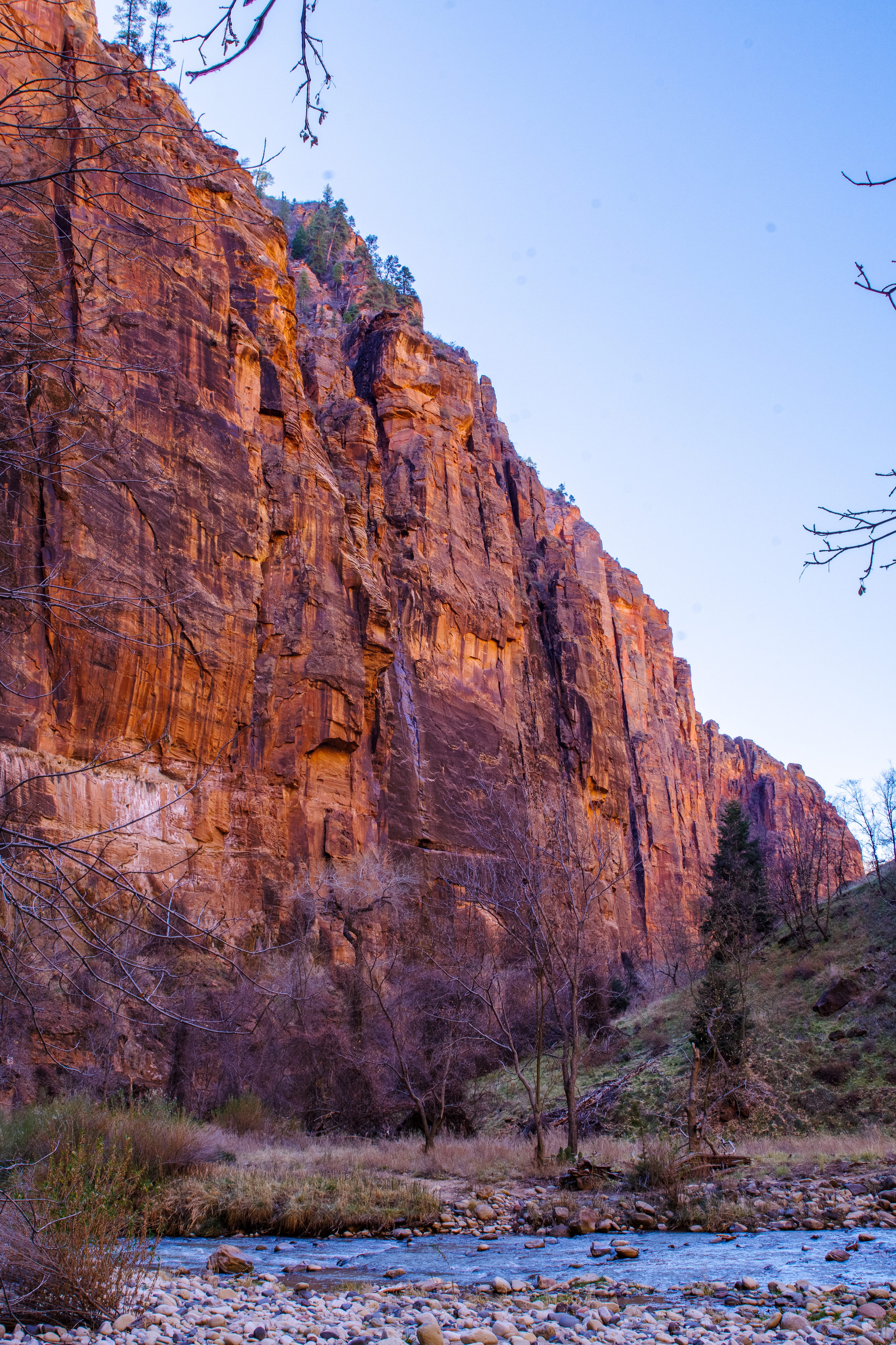 Zion National Park