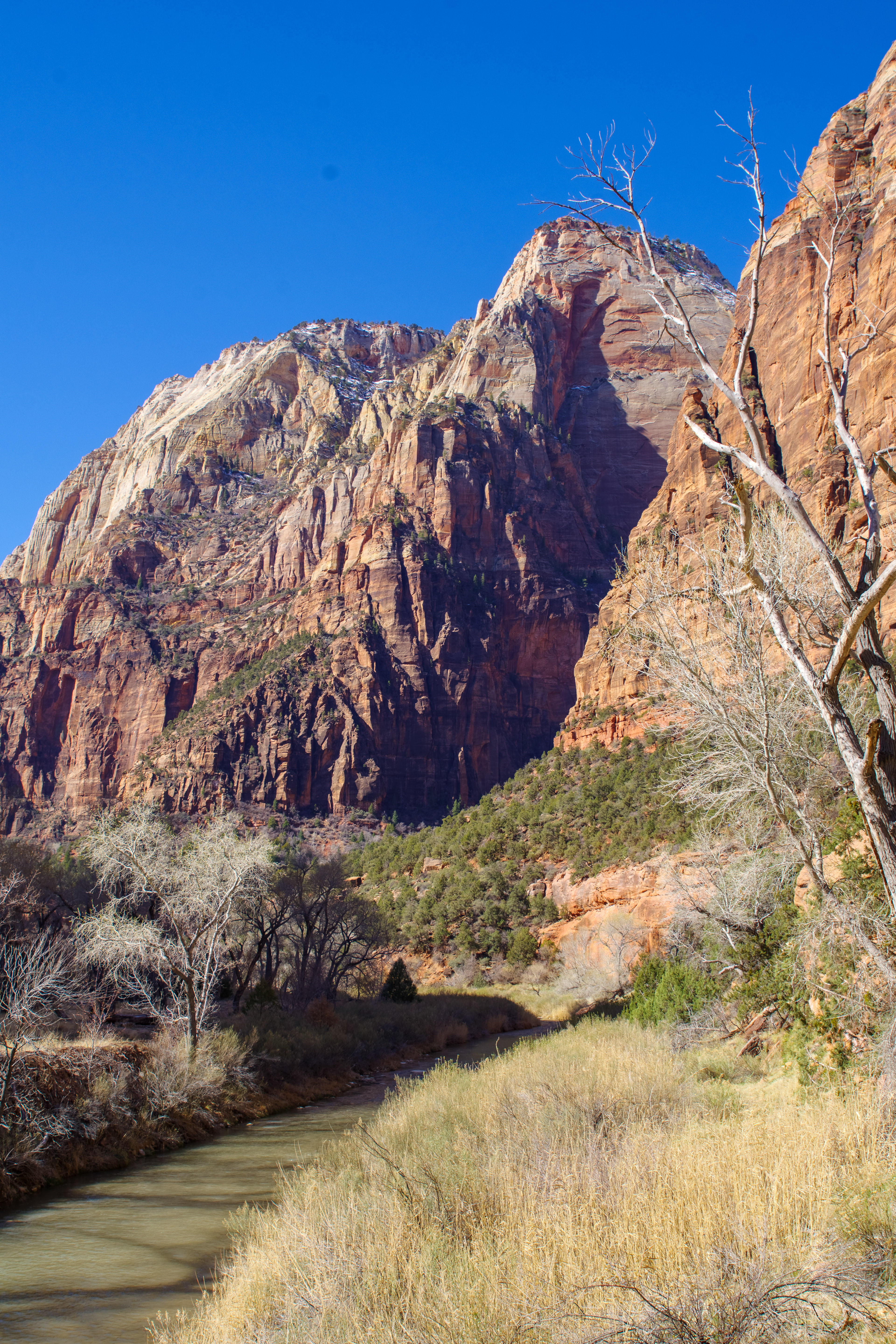Zion National Park