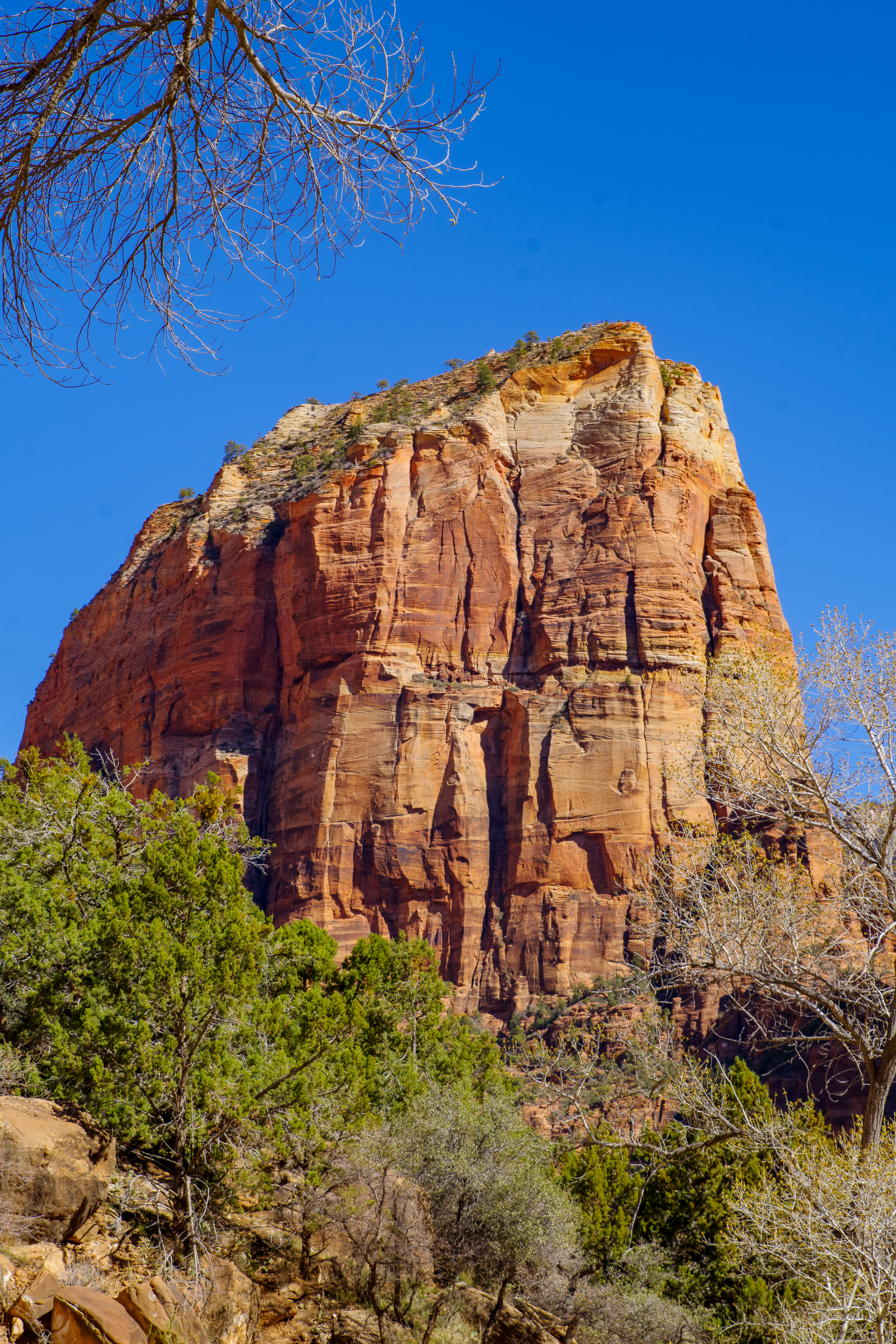 Angel's Landing, Zion National Park
