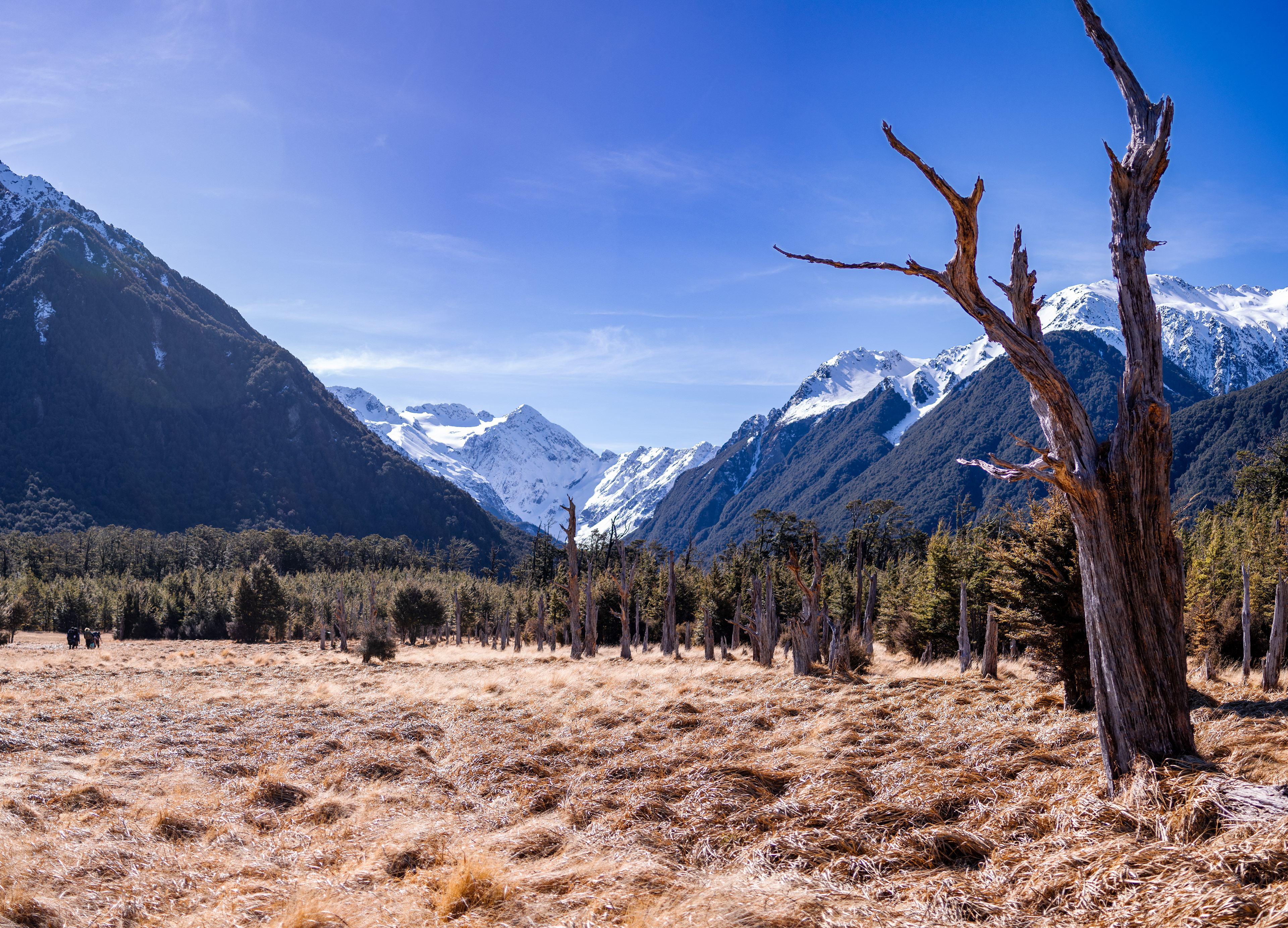 Waimakariri River Valley