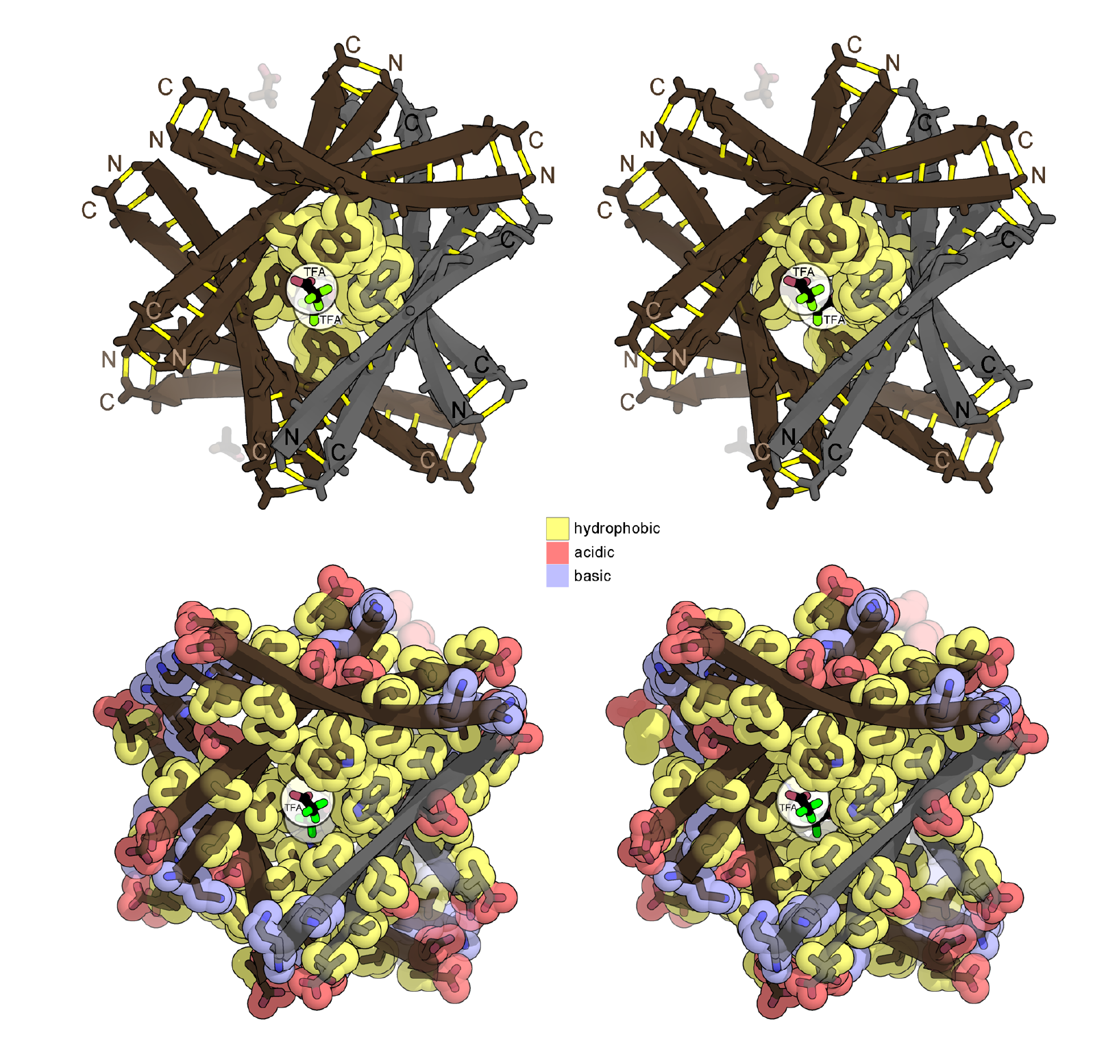 X-ray Crystal Structure of G6W Dodecamer