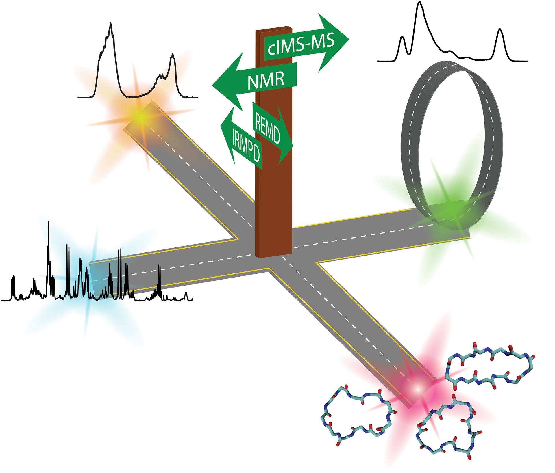 Multimodal Analyses of Cyclosporines