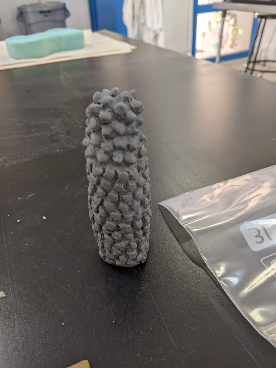 Forming Digitate Coral