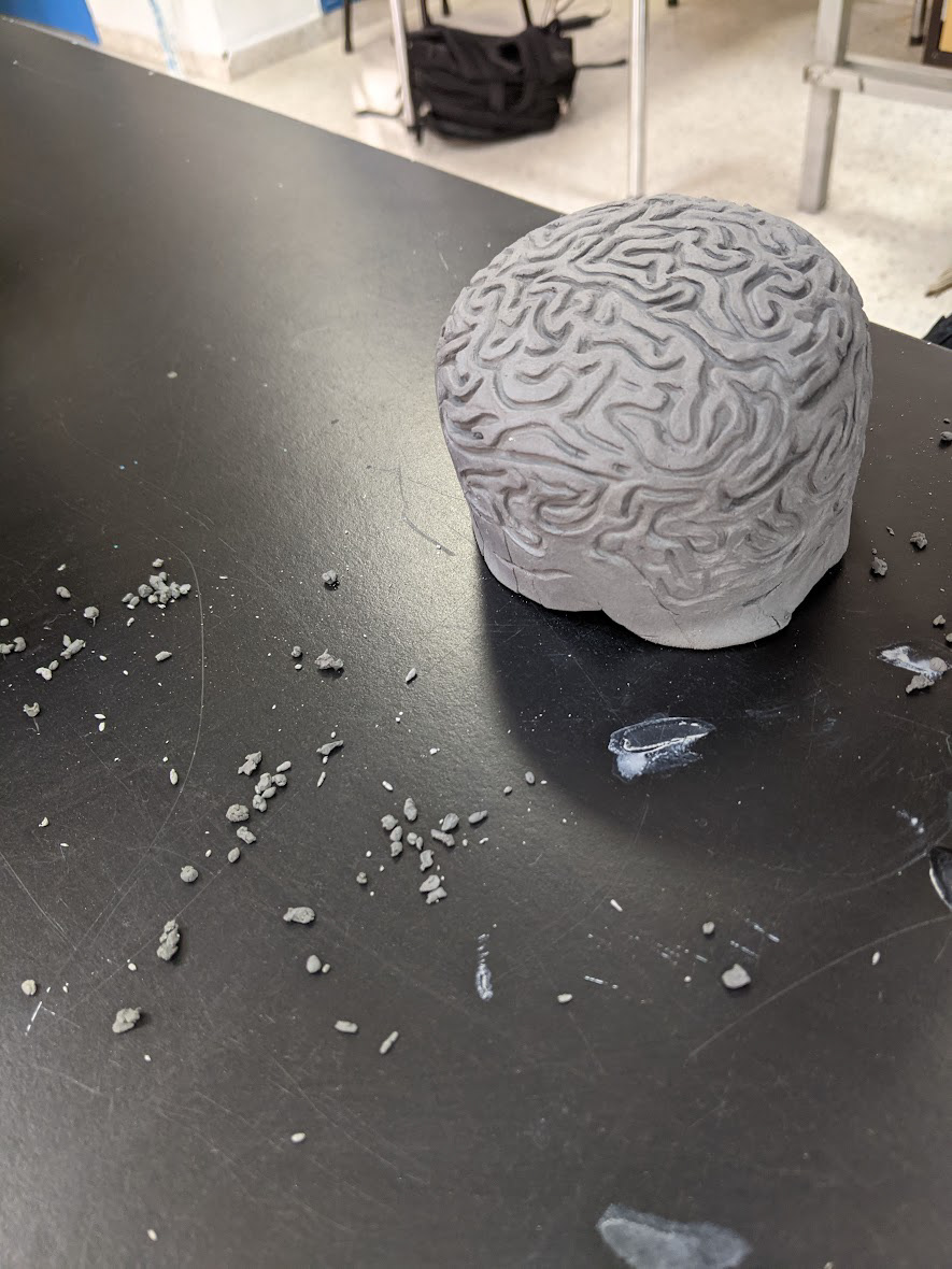 Carving Brain Coral