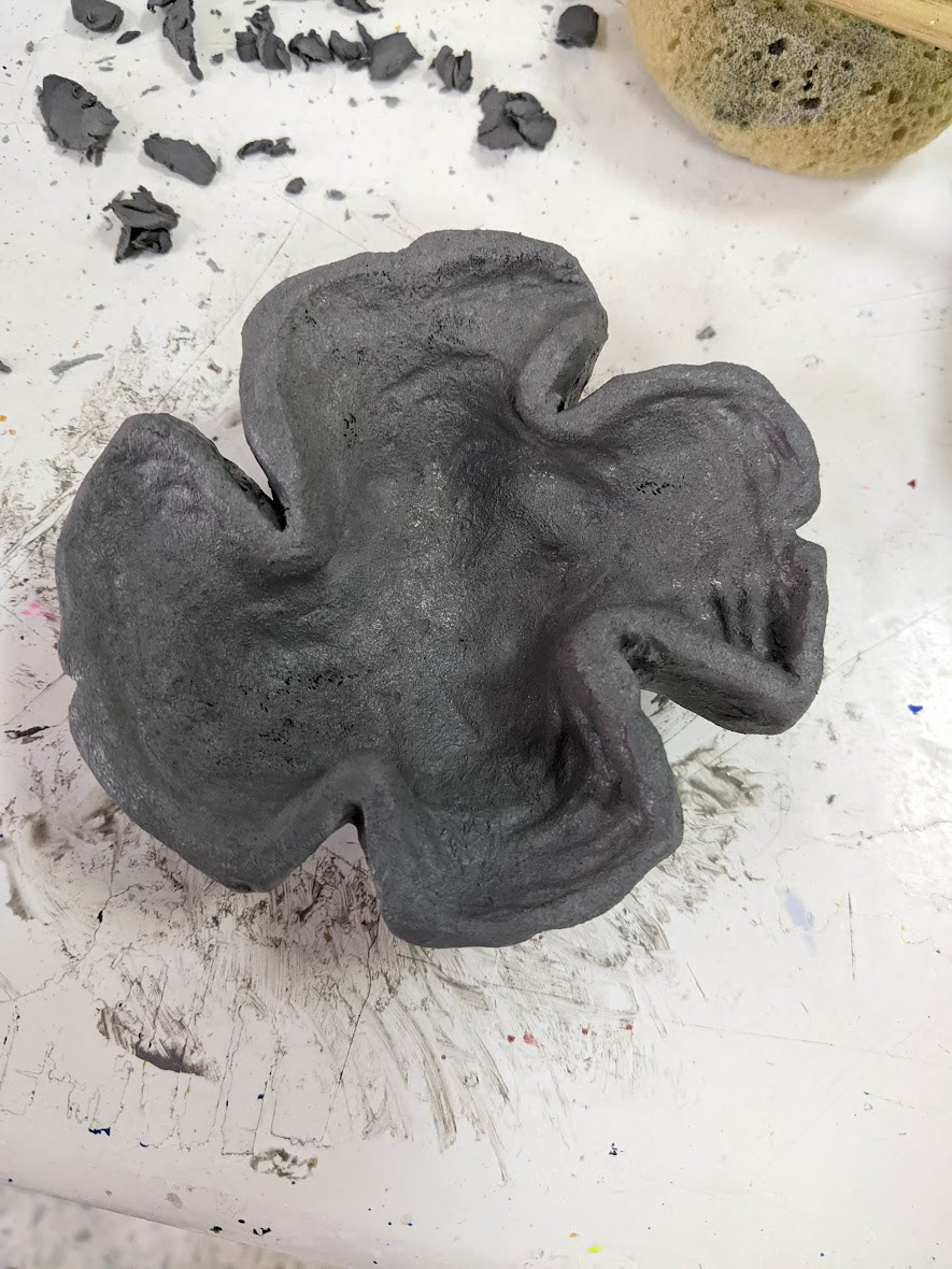 Forming Lettuce Coral