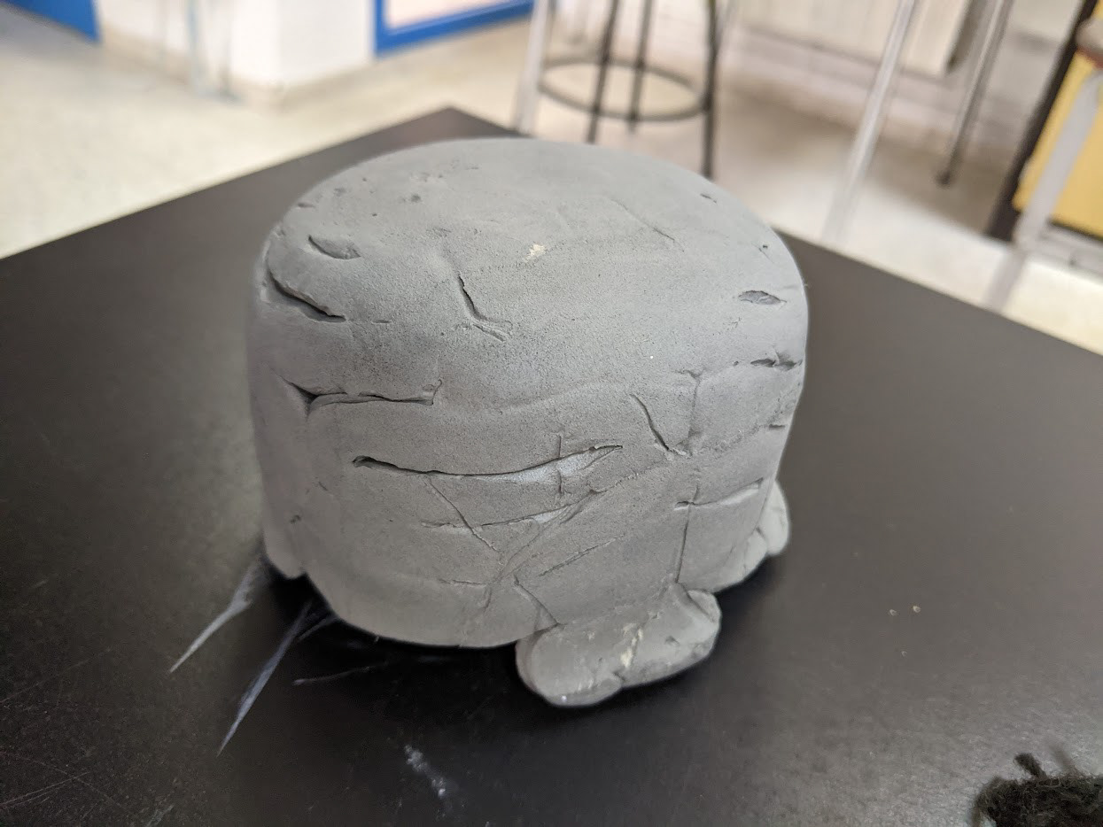 Forming Brain Coral