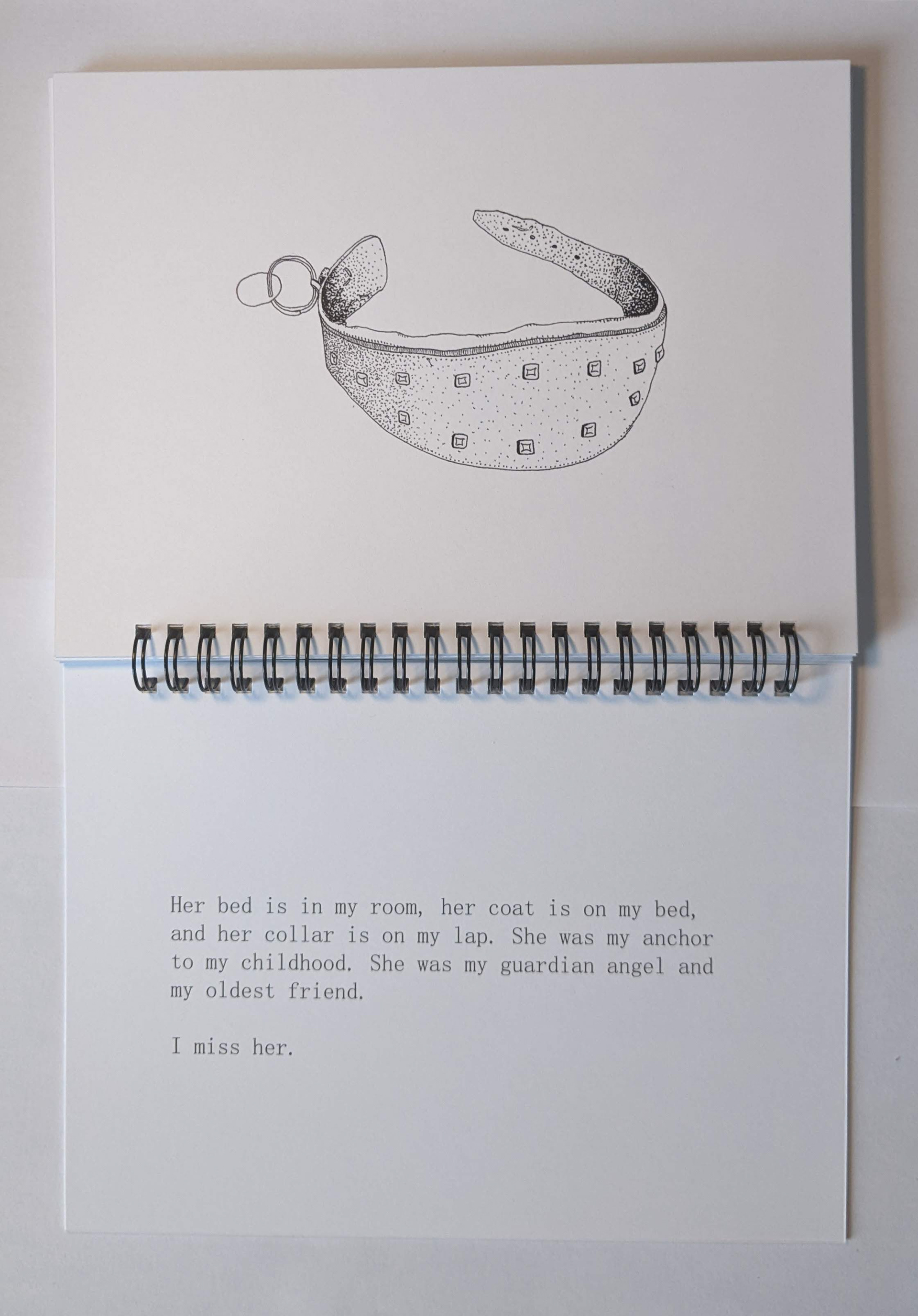 Page 36-37