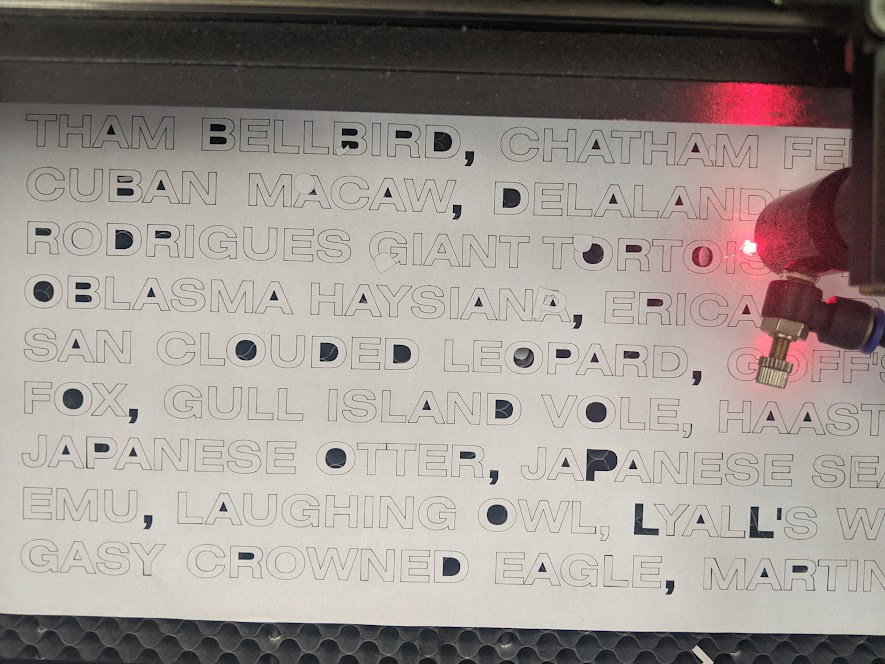 Laser Cut Names
