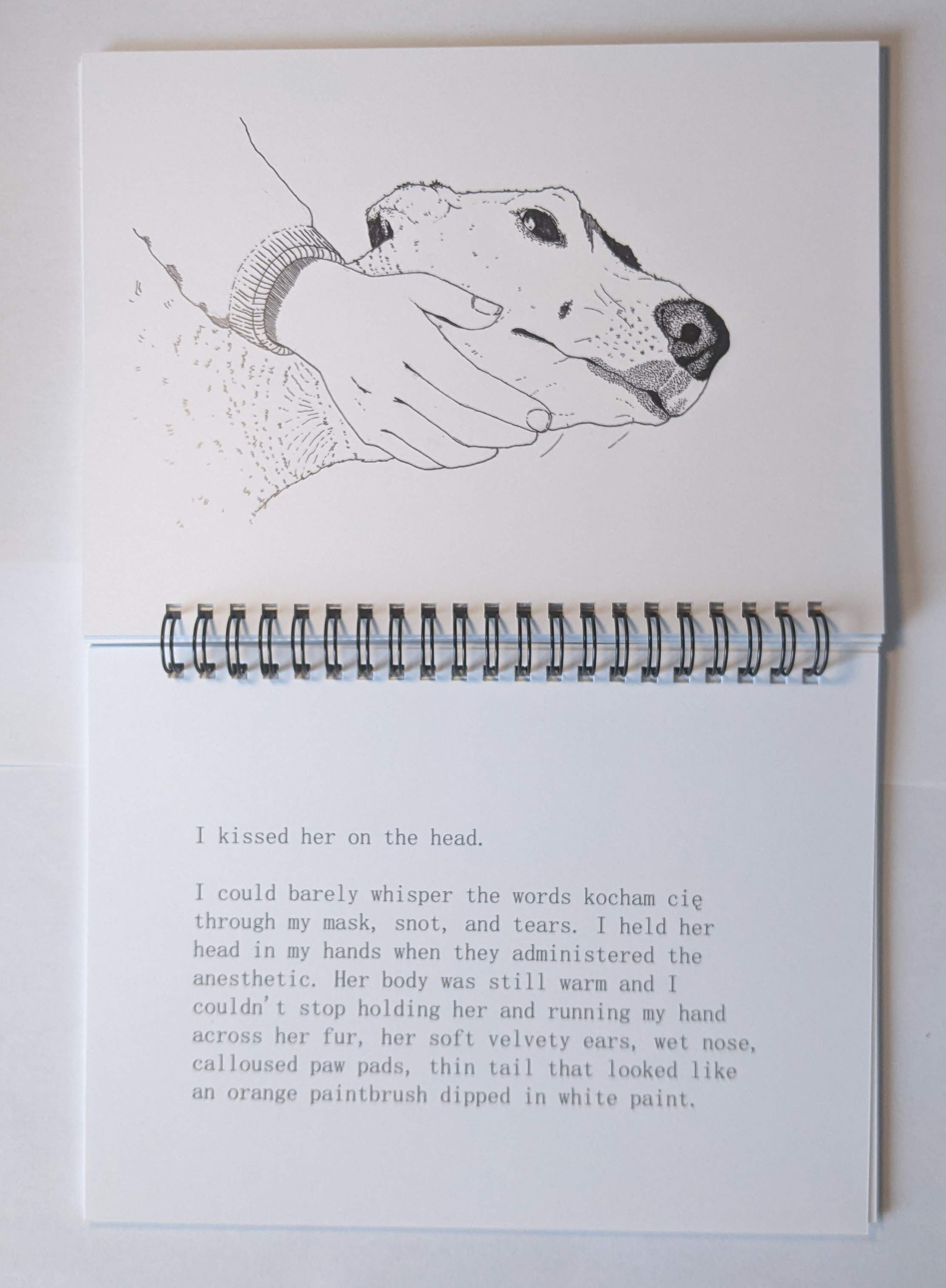 Page 24-25
