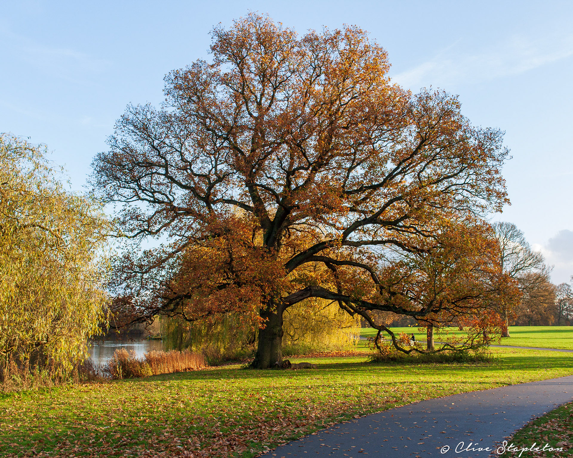 Autum scene in Markeaton Park Derby  United Kingdom