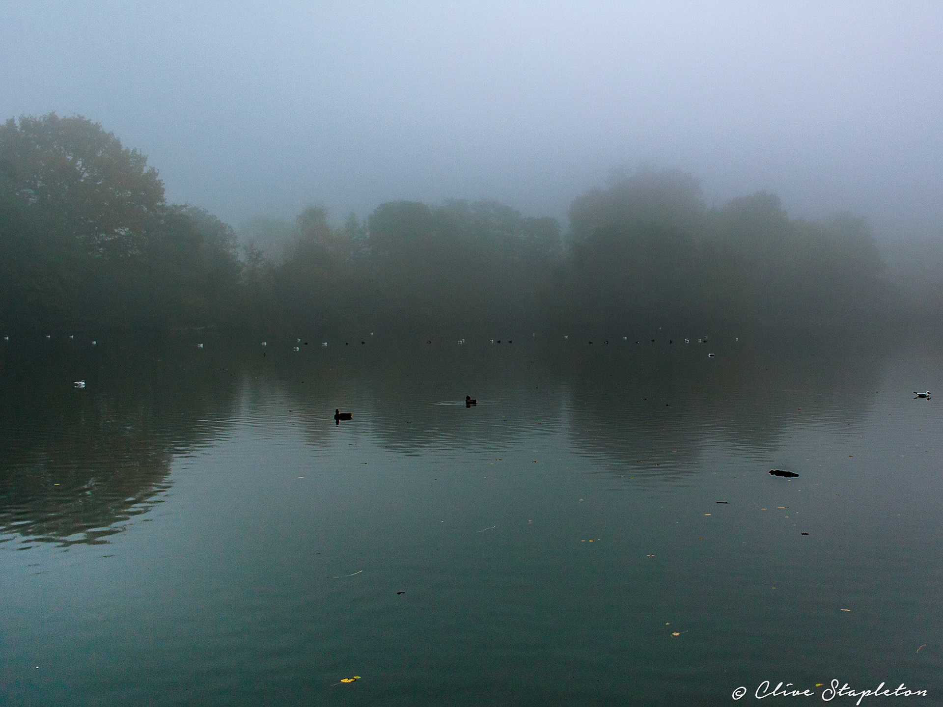 A misty scene over the Lake at Allestree Park.