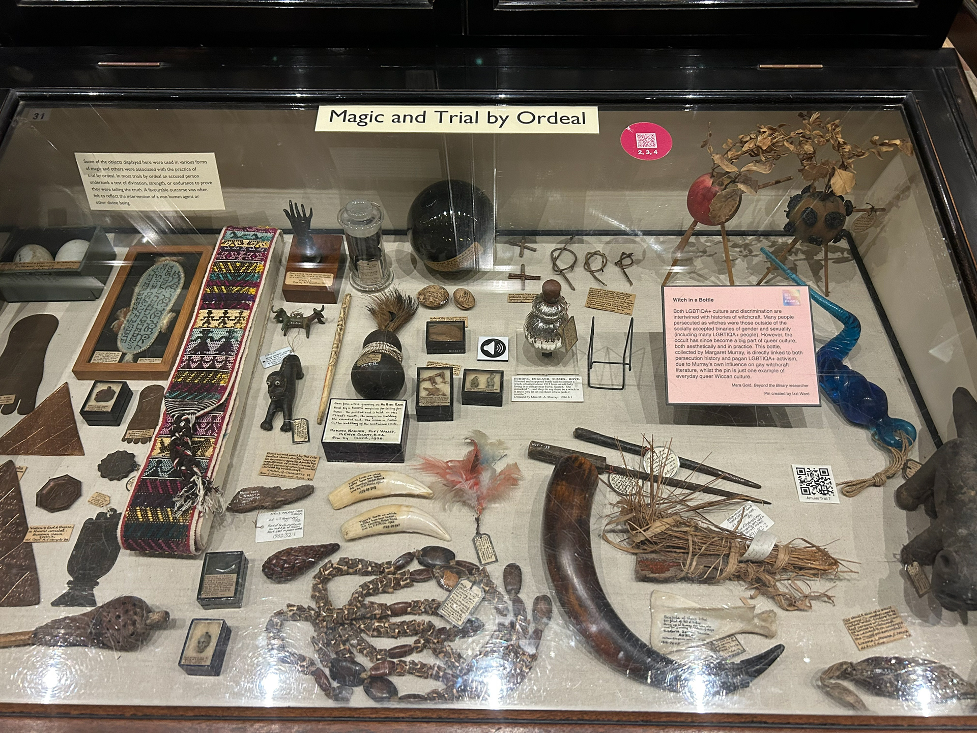 pitt museum!