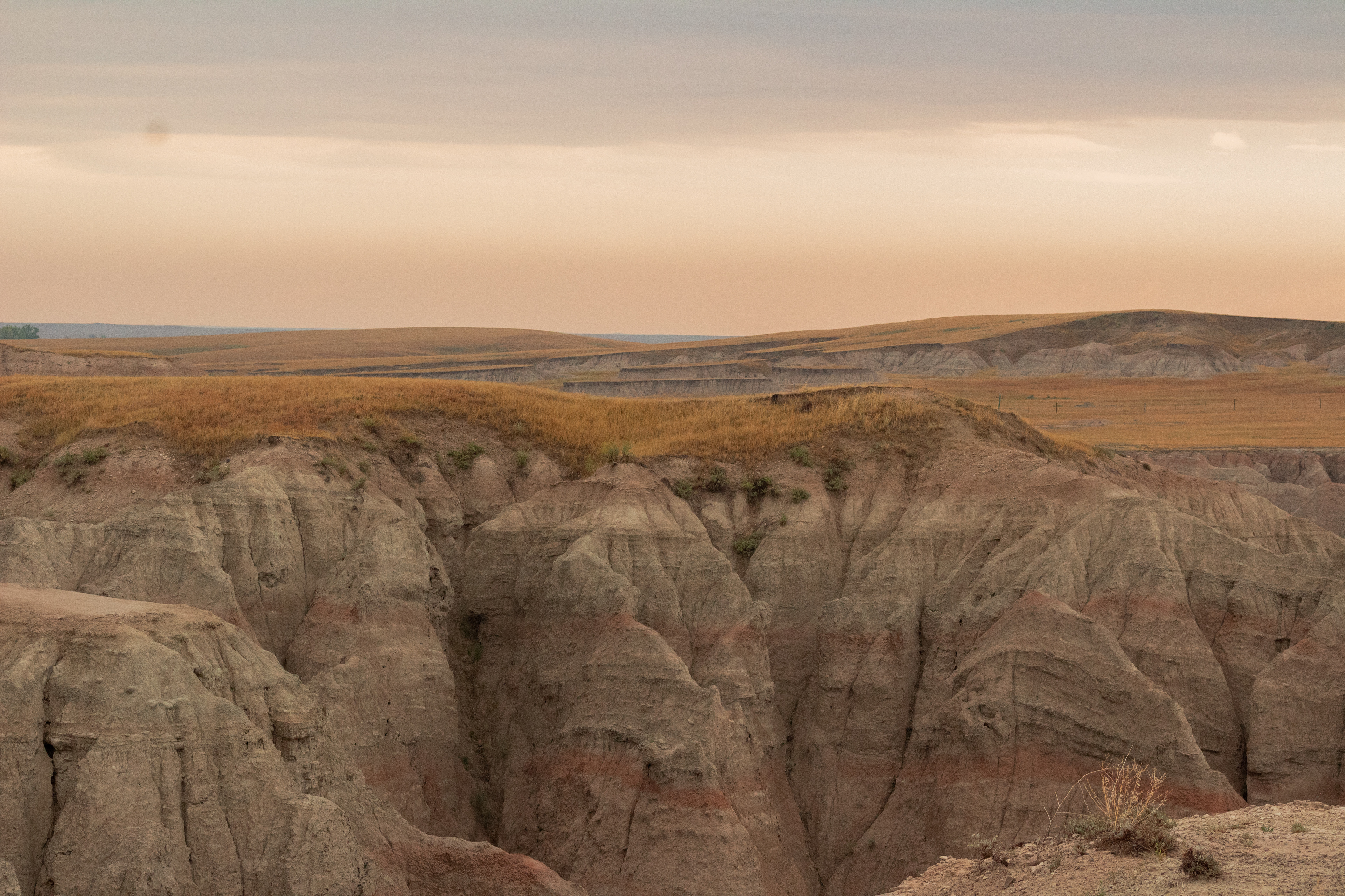 Badlands, 2021