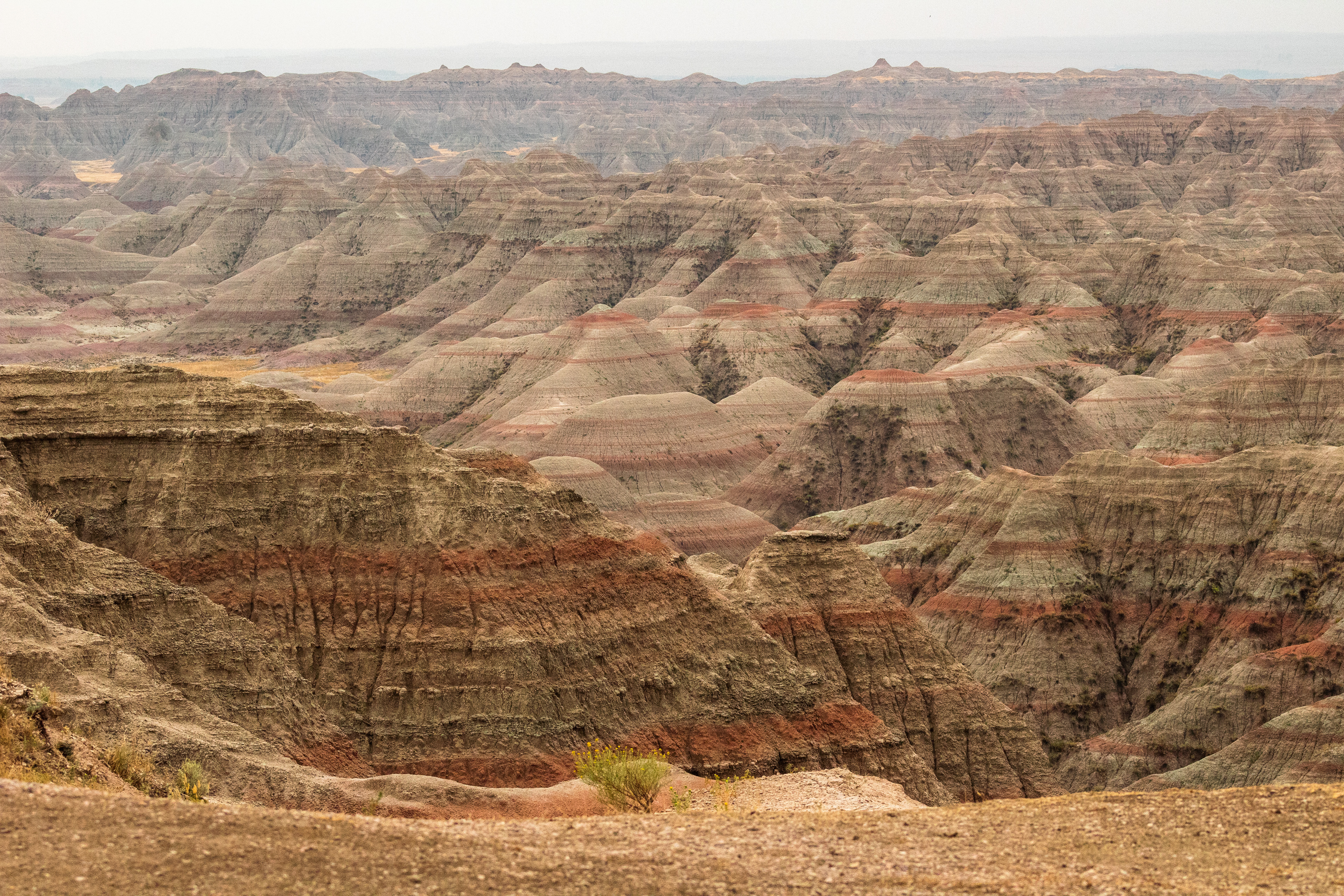 Badlands, 2021