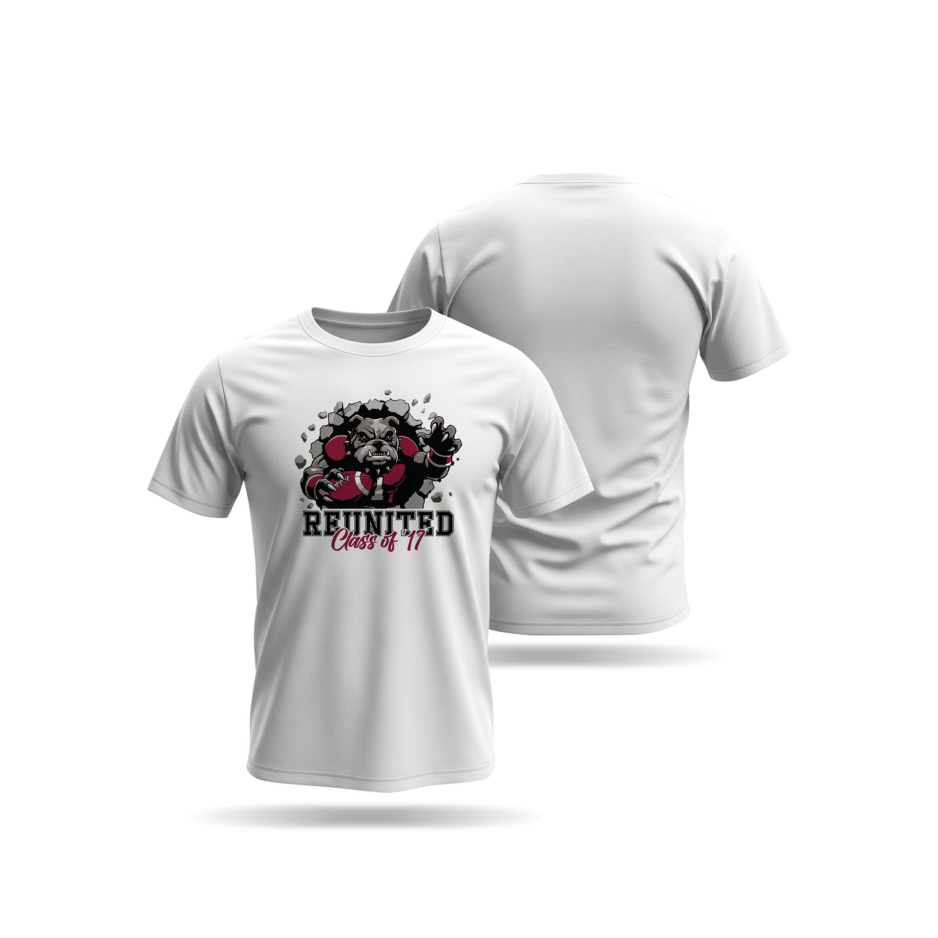 '10 Year Reunion' Andalusia High School Tee Option 2