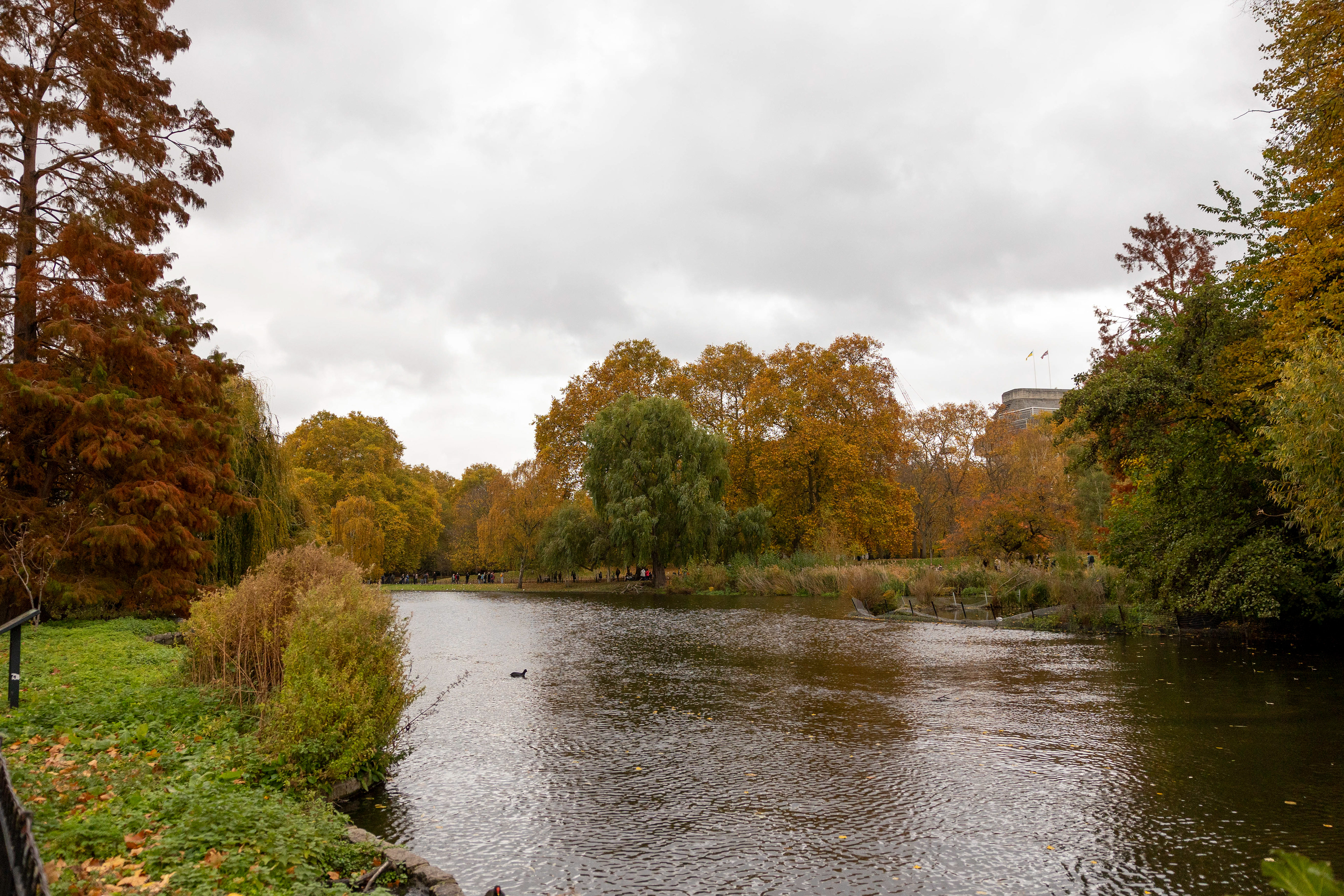 Der St. James Park Lake