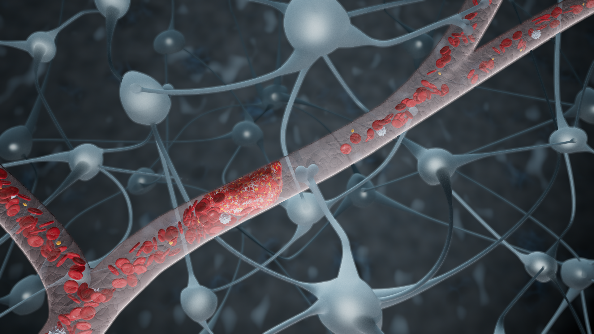 3DGI of capillaries and neuronal networks