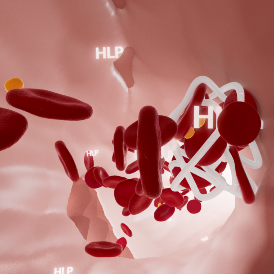 3DCI image of inner capillaries