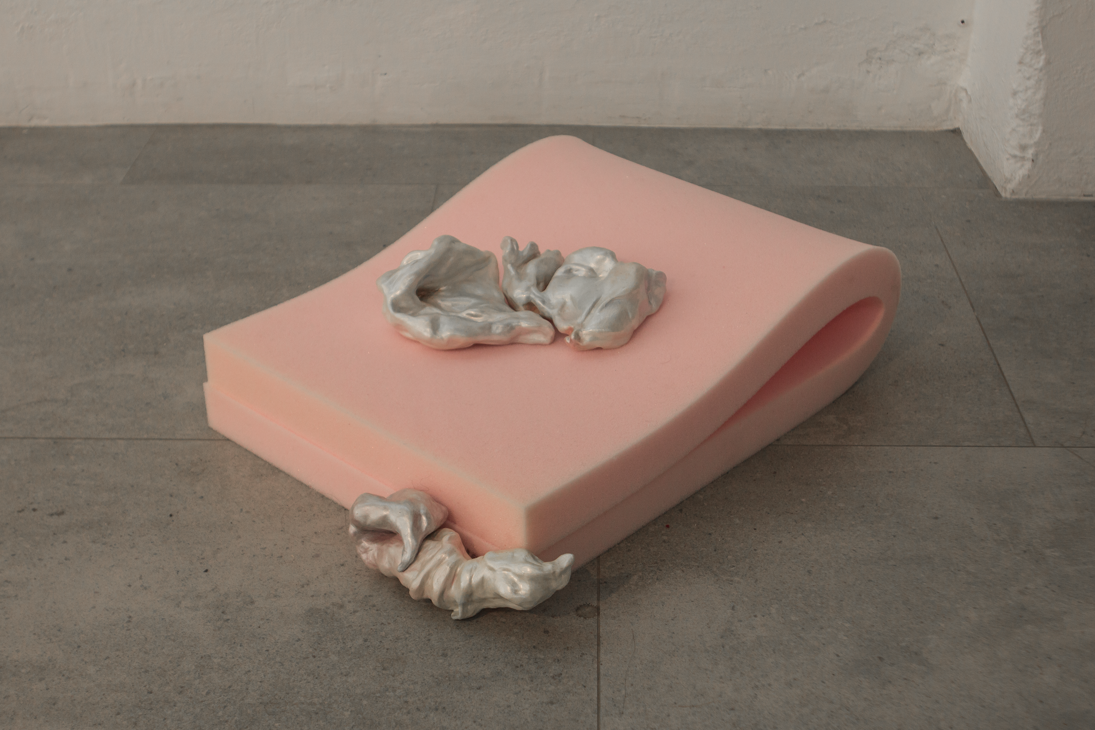 umbiosis caduca at Pradiauto, Madrid