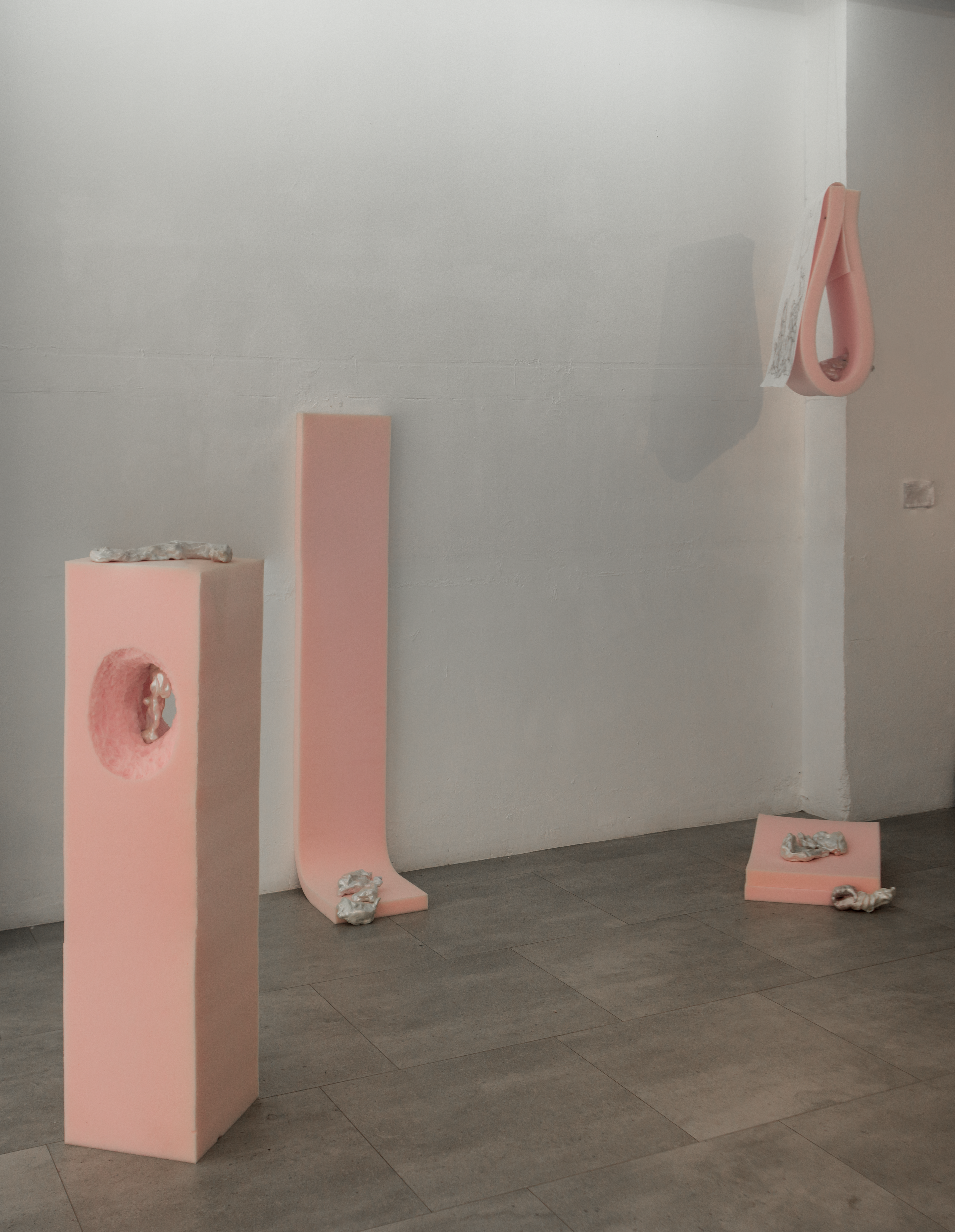 umbiosis caduca at Pradiauto, Madrid