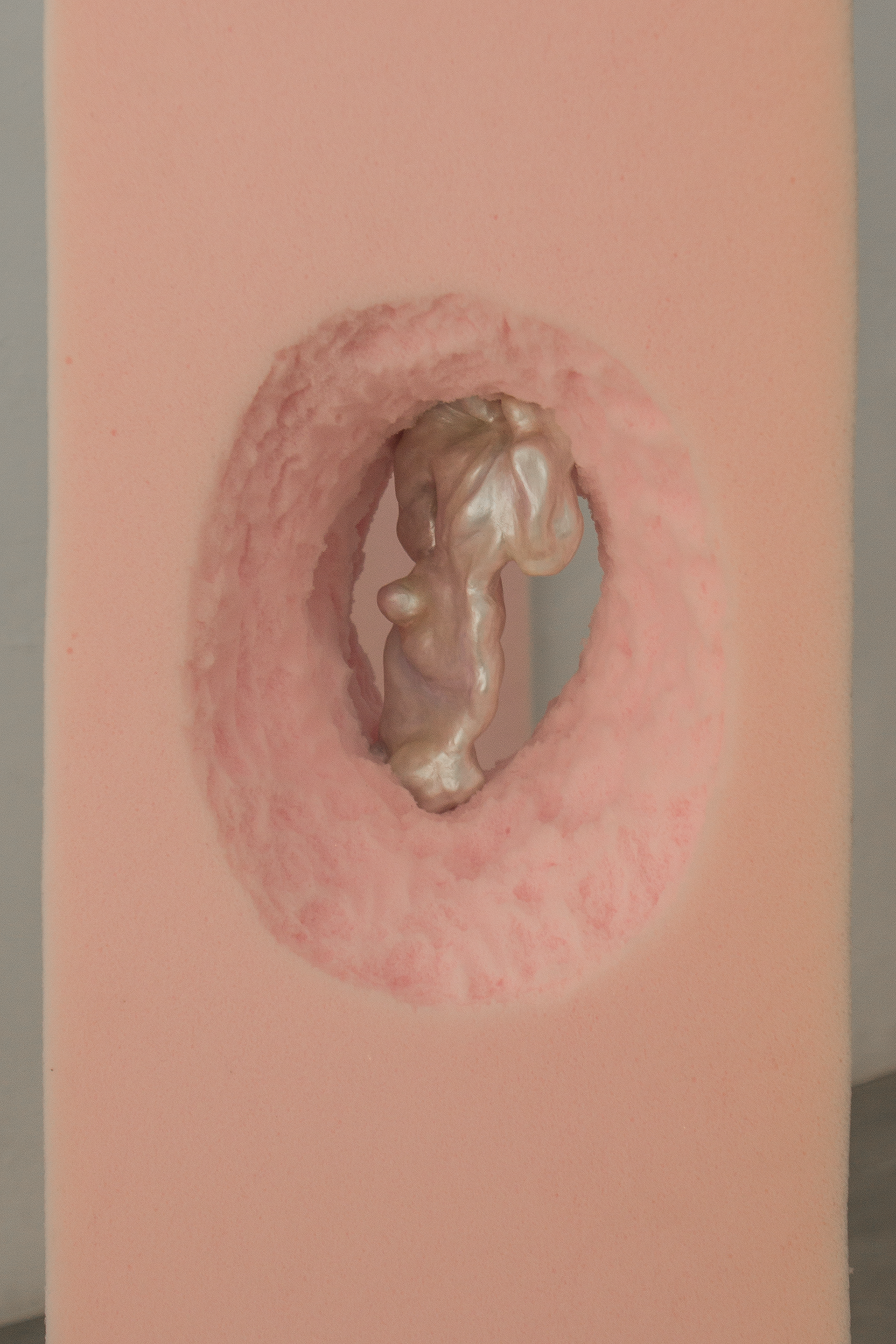 umbiosis caduca at Pradiauto, Madrid